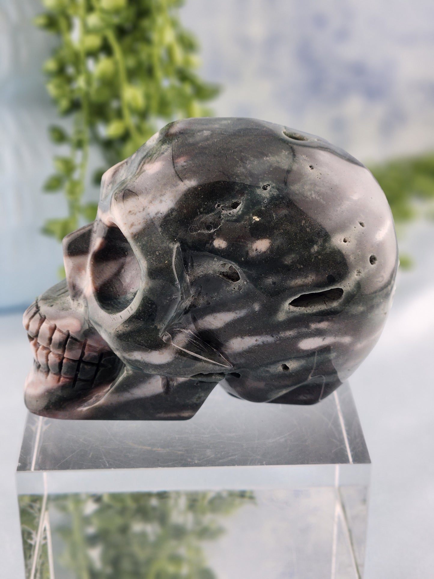 Ocean Jasper Skull