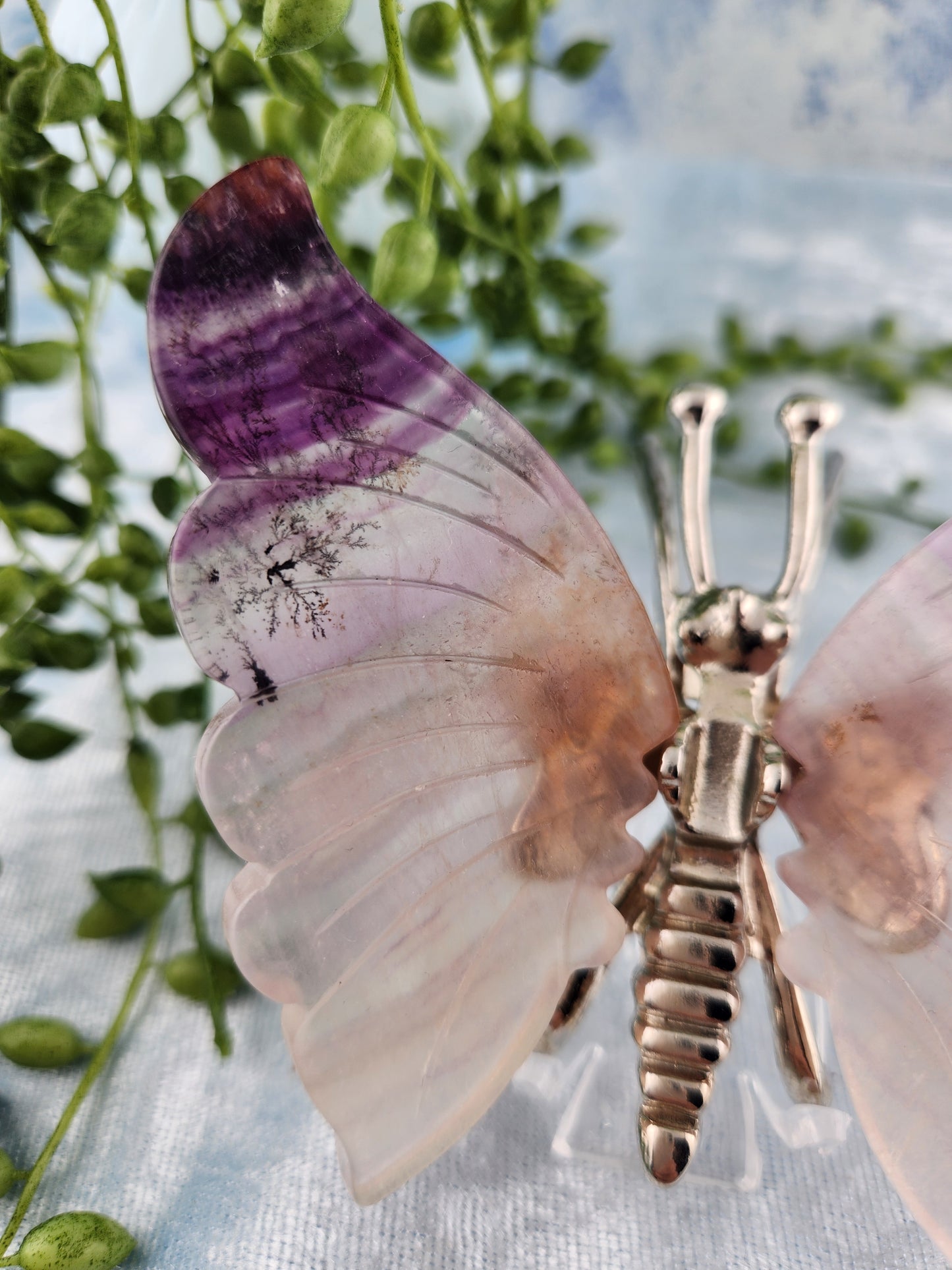 Purple Fluorite Butterfly with Dendrites