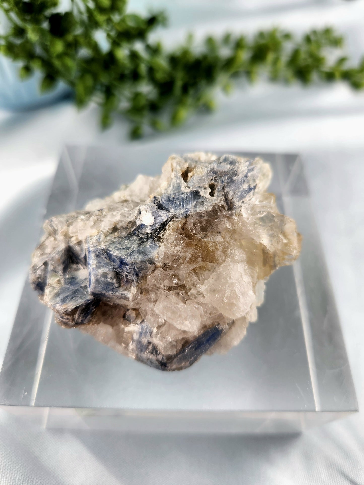 Kyanite Specimen