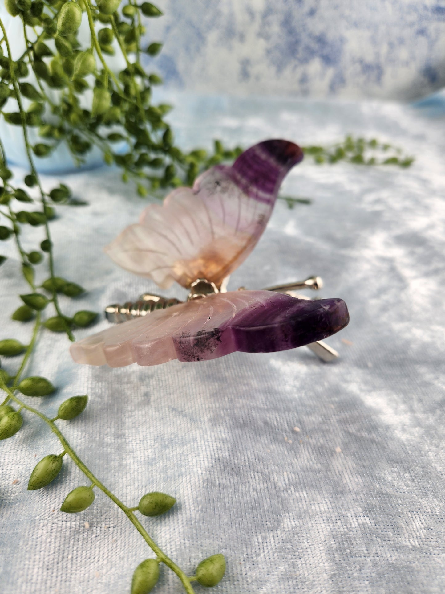 Purple Fluorite Butterfly with Dendrites