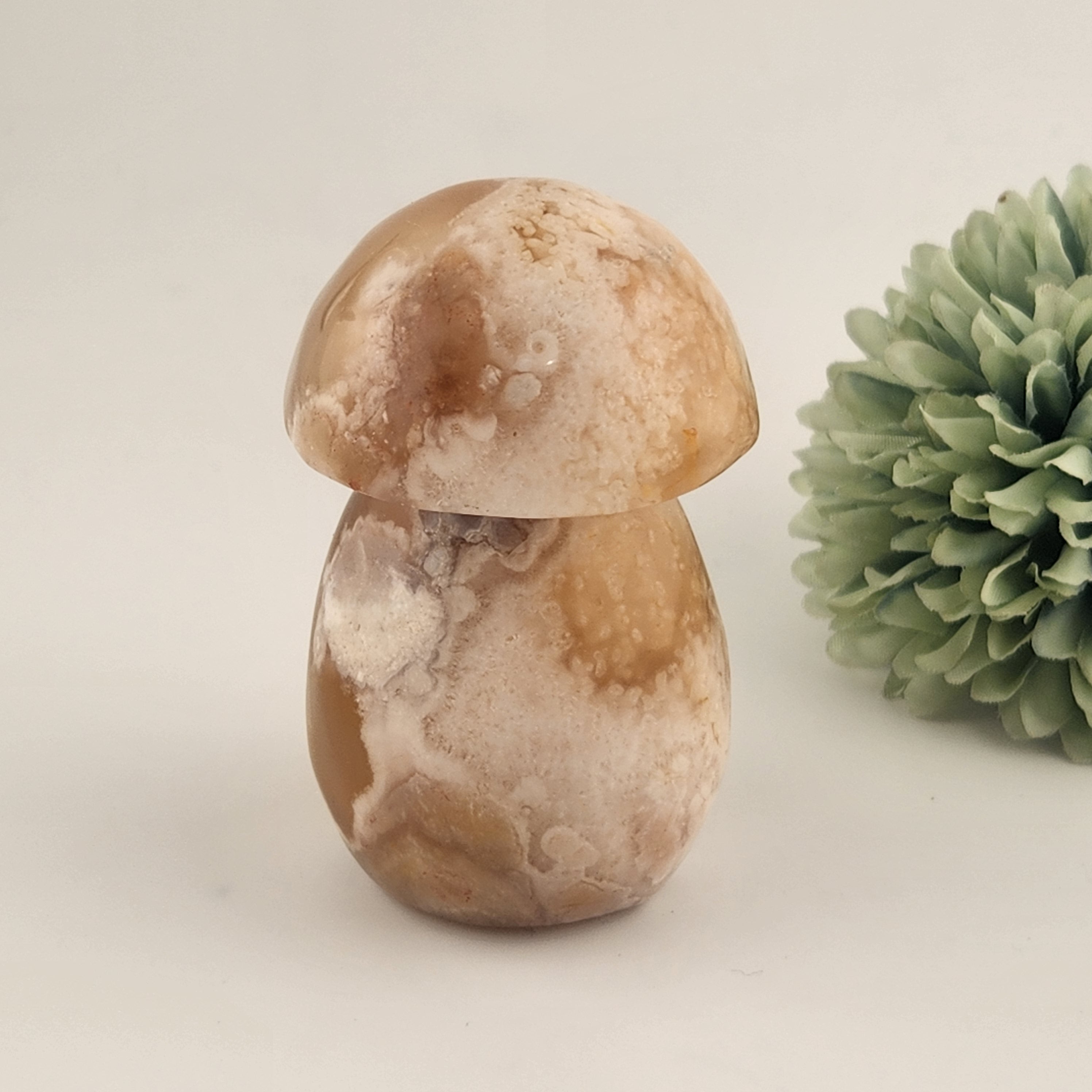 Flower Agate Mushroom