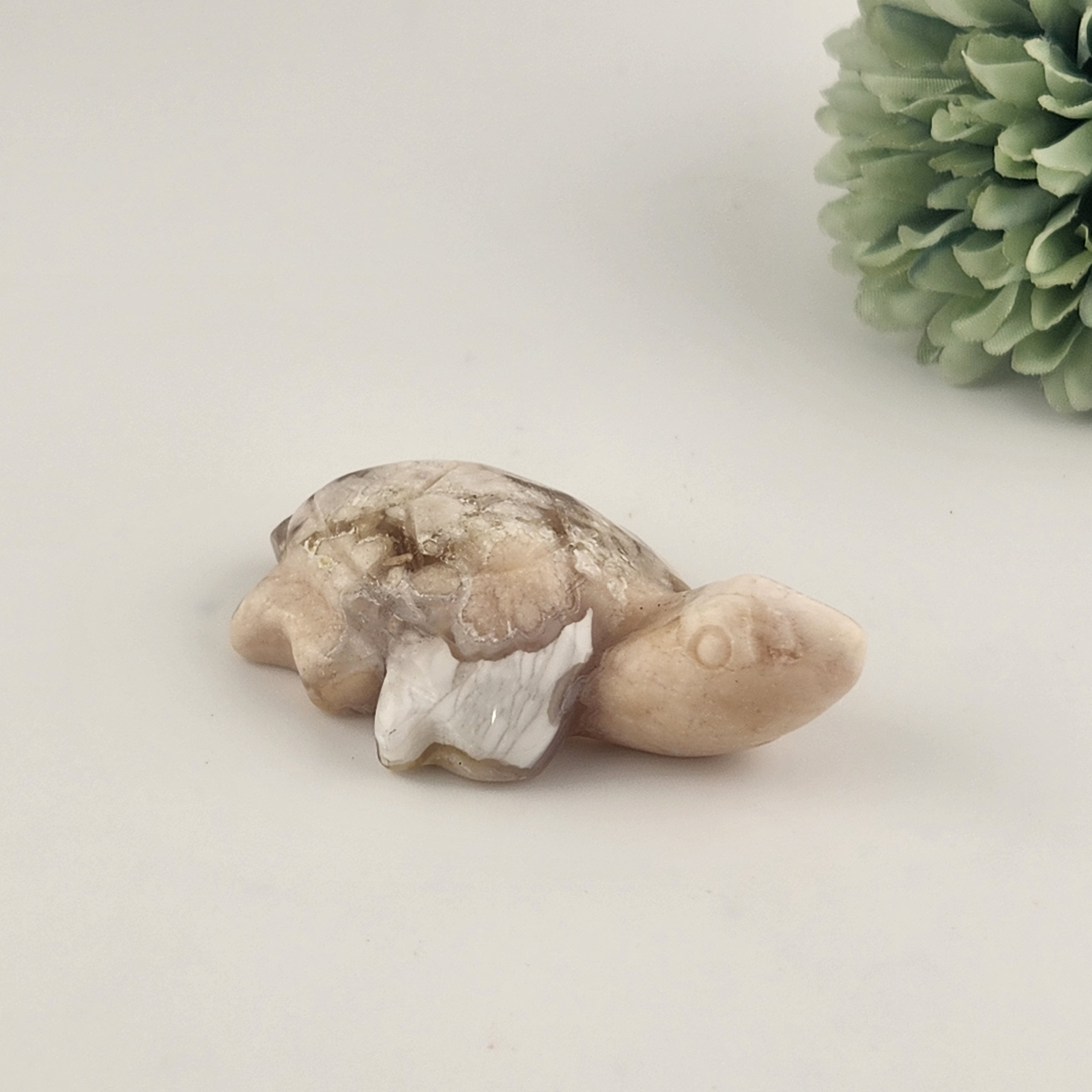 Flower Agate Turtle
