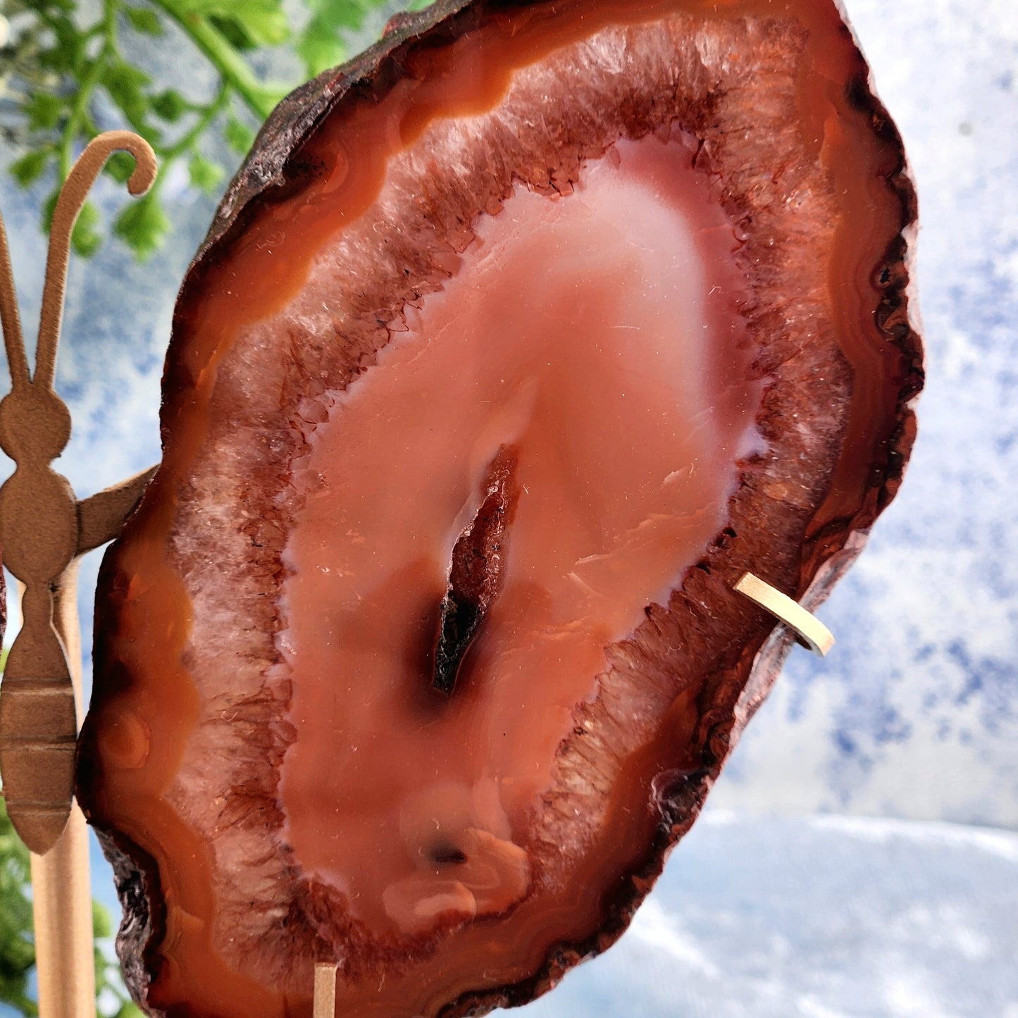 Carnelian Slab Butterfly Wings on Custom Gold Stand