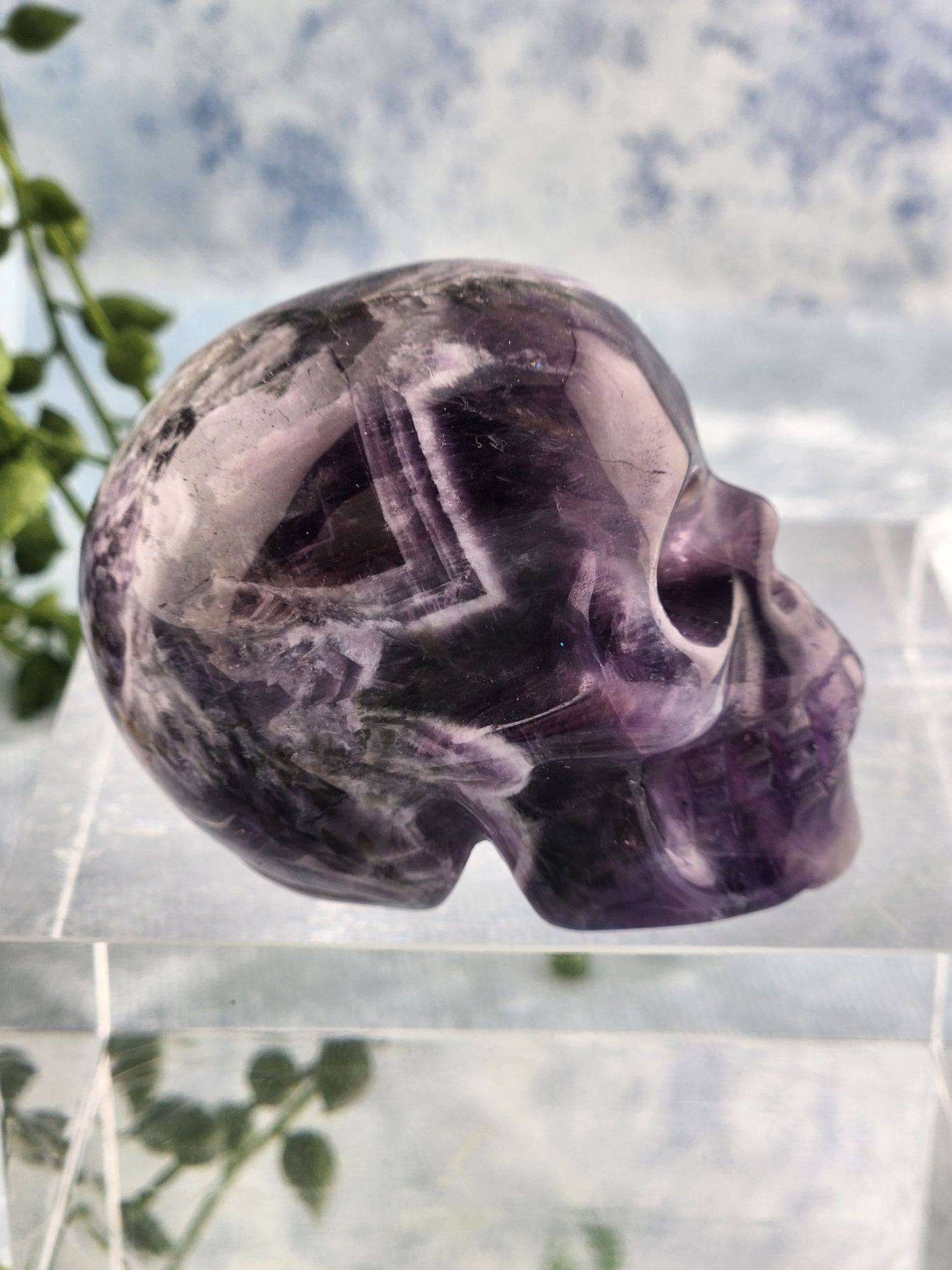 Chevron Amethyst Skull