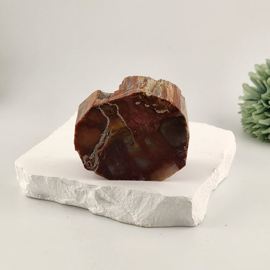 Petrified Wood Slab
