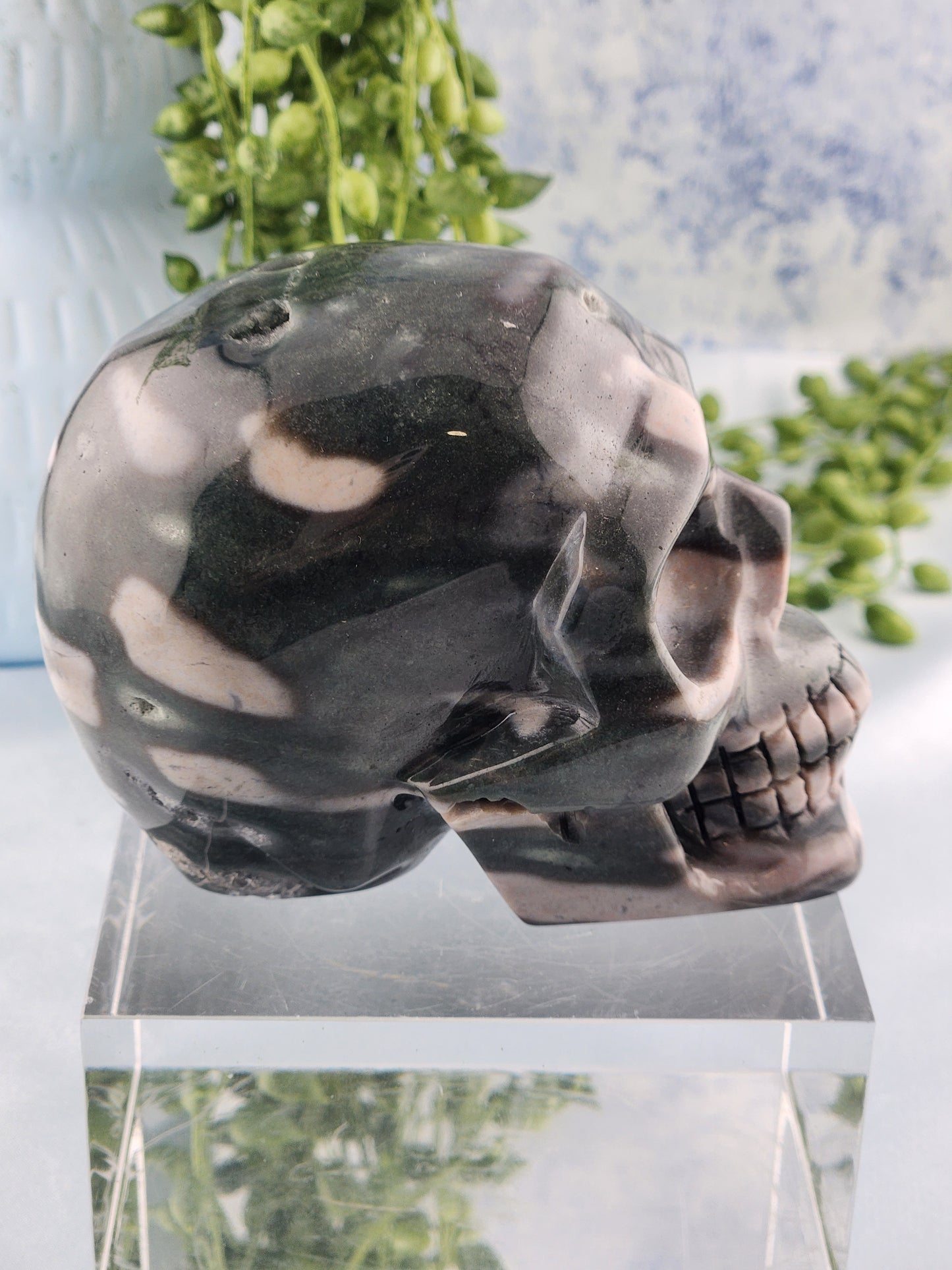 Ocean Jasper Skull