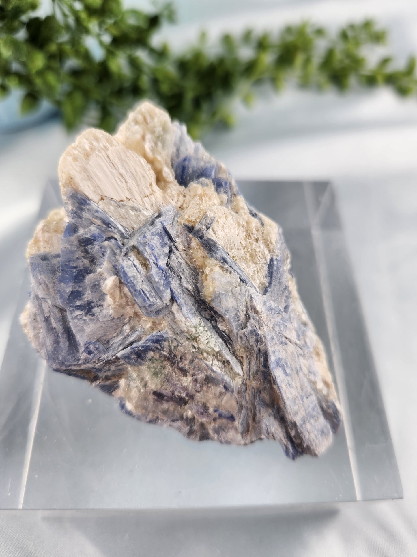 Kyanite Specimen