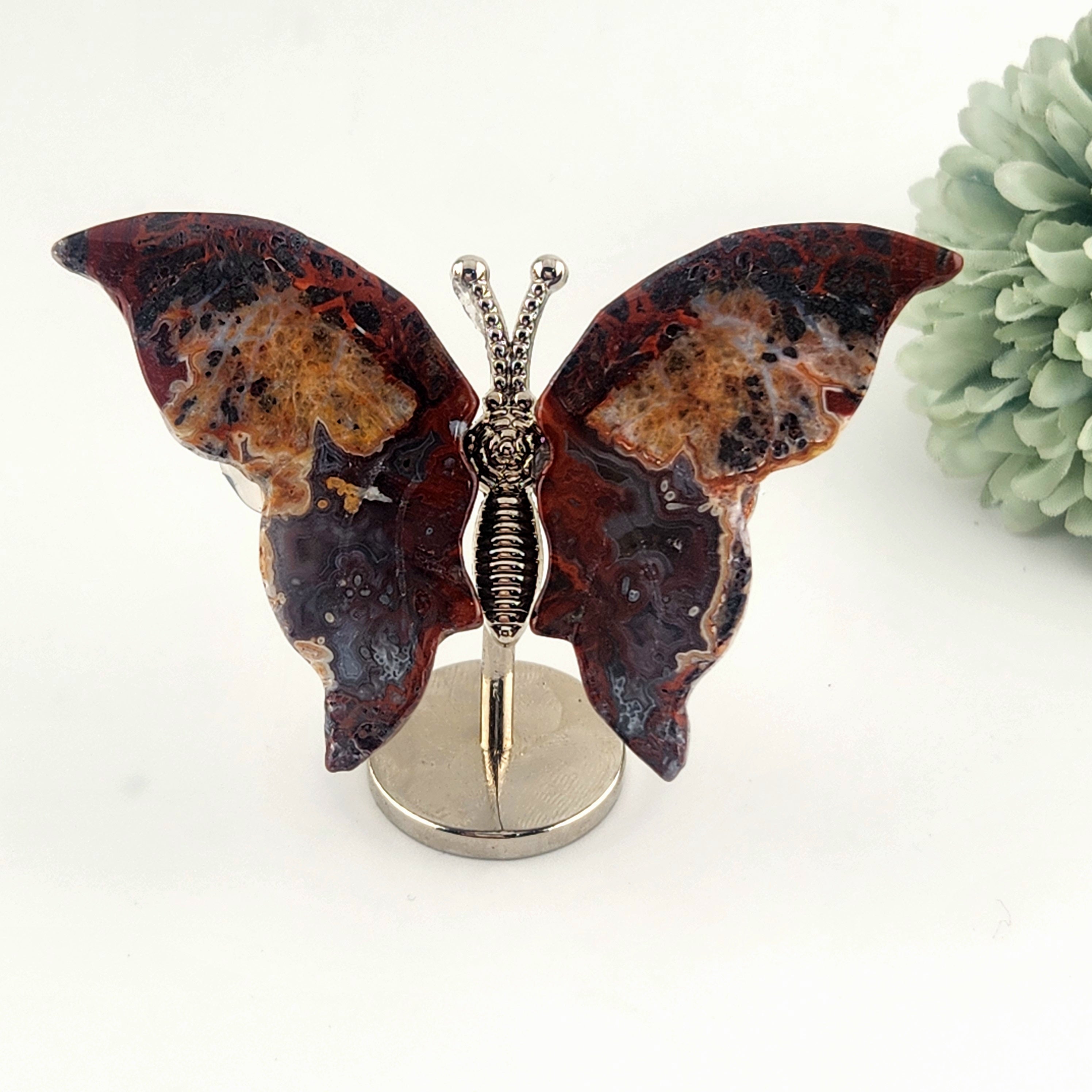 Mexican Crazy Lace Agate Butterfly On Stand