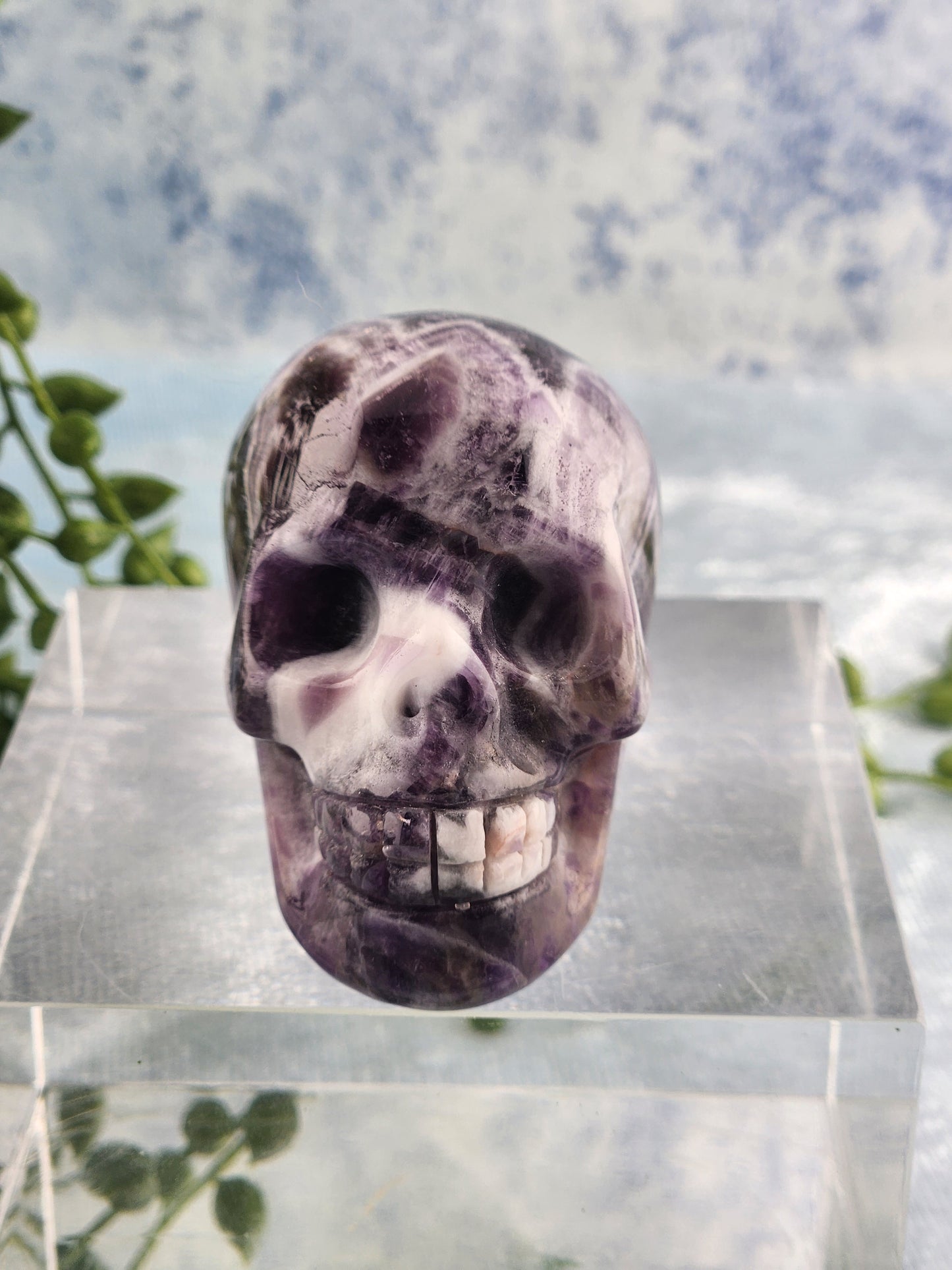 Chevron Amethyst Skull