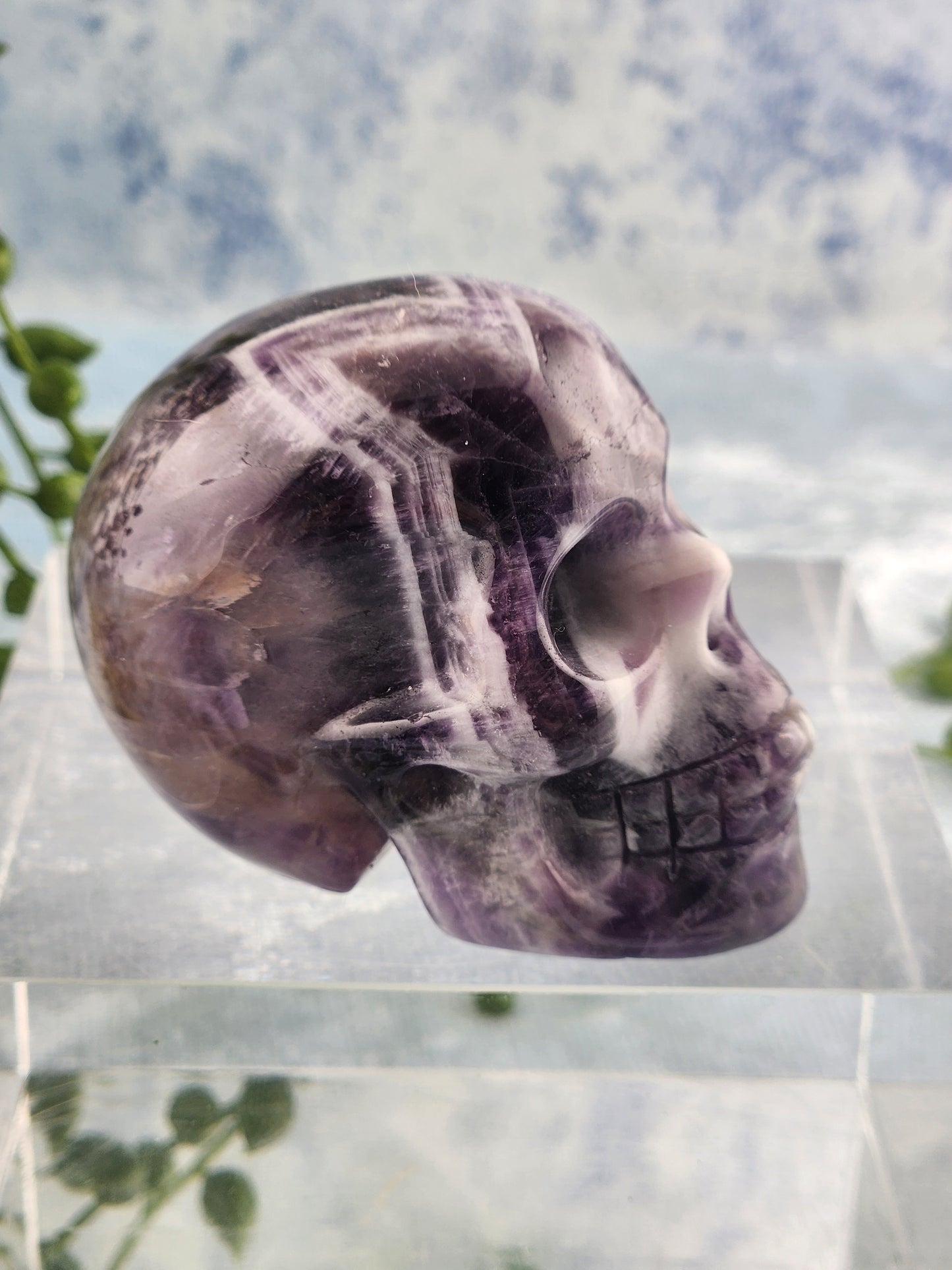 Chevron Amethyst Skull