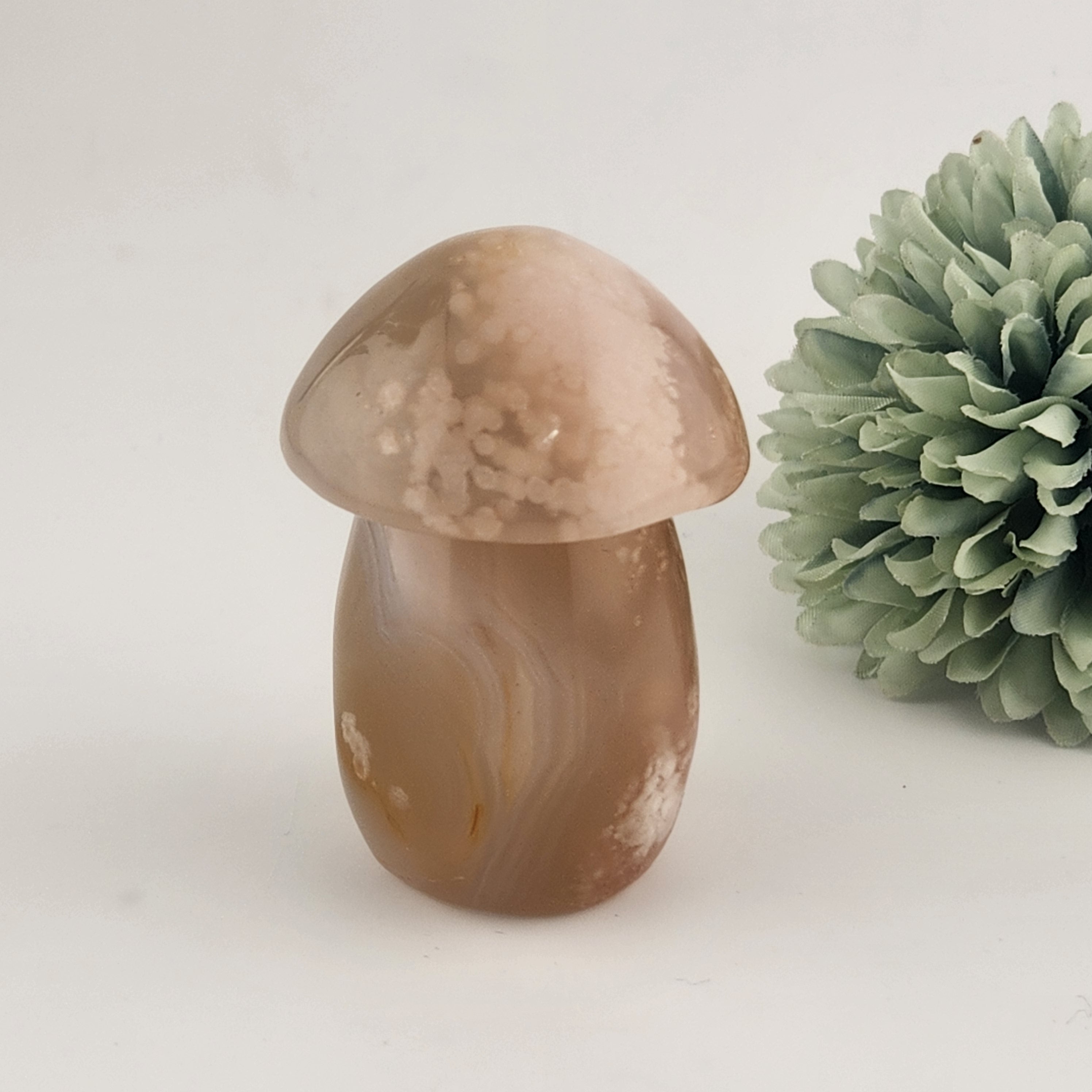 Flower Agate Mushroom