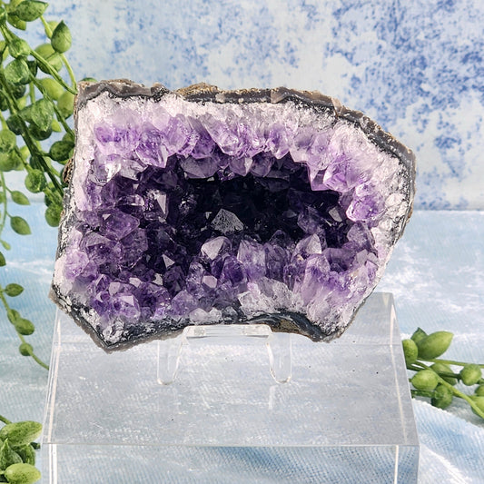 Extra A-Grade Amethyst Cluster