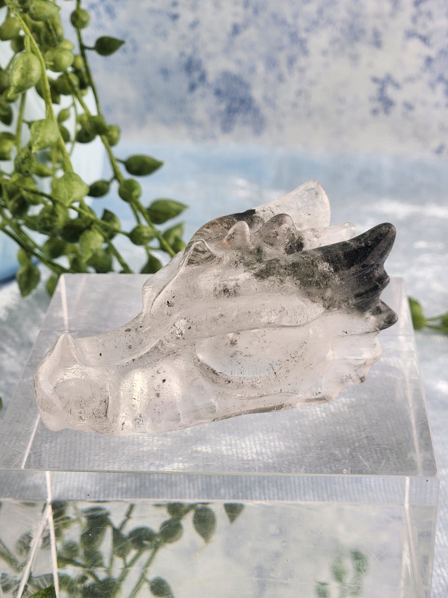 Garden Quartz Dragon Head