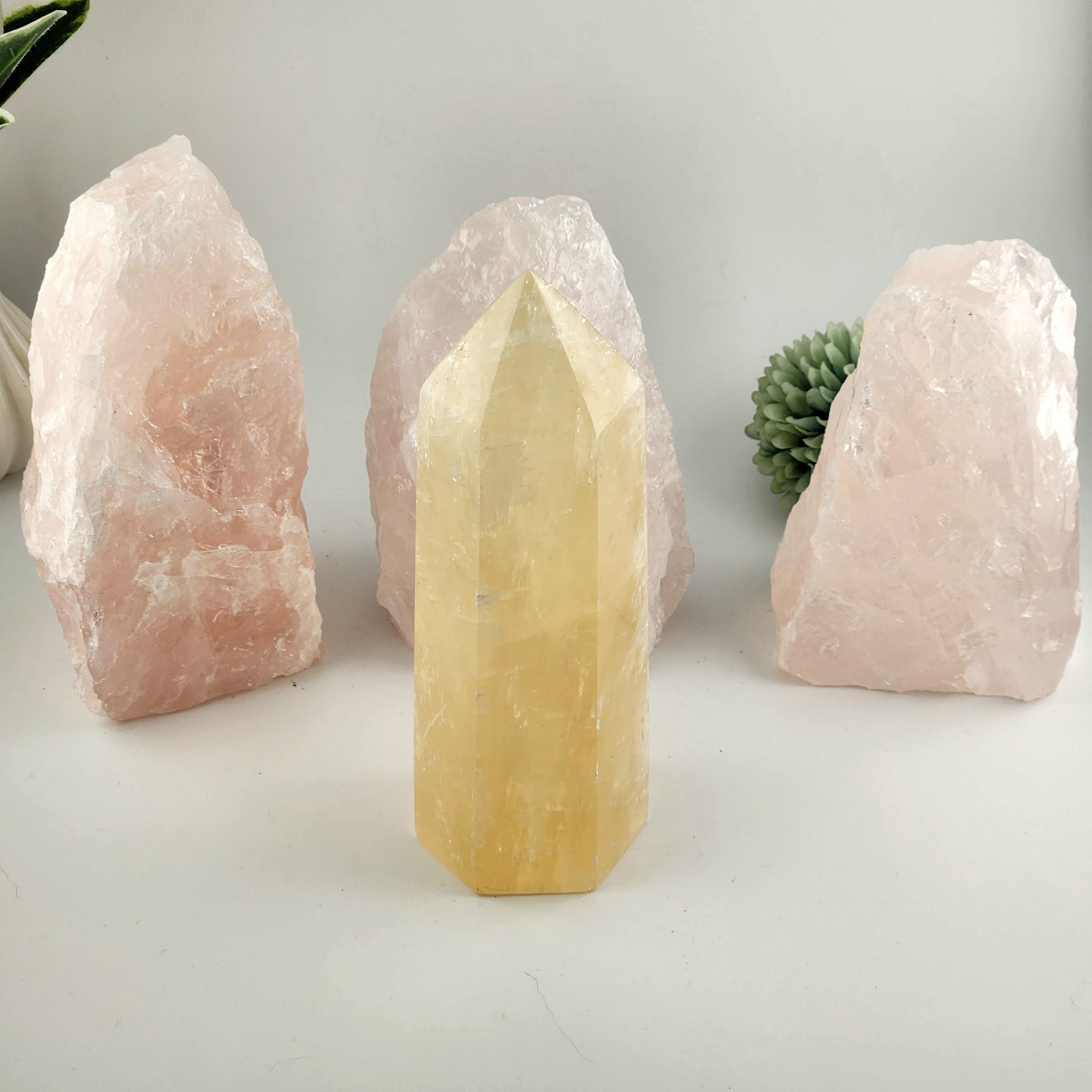 For Kristy (minus 1  x rose)