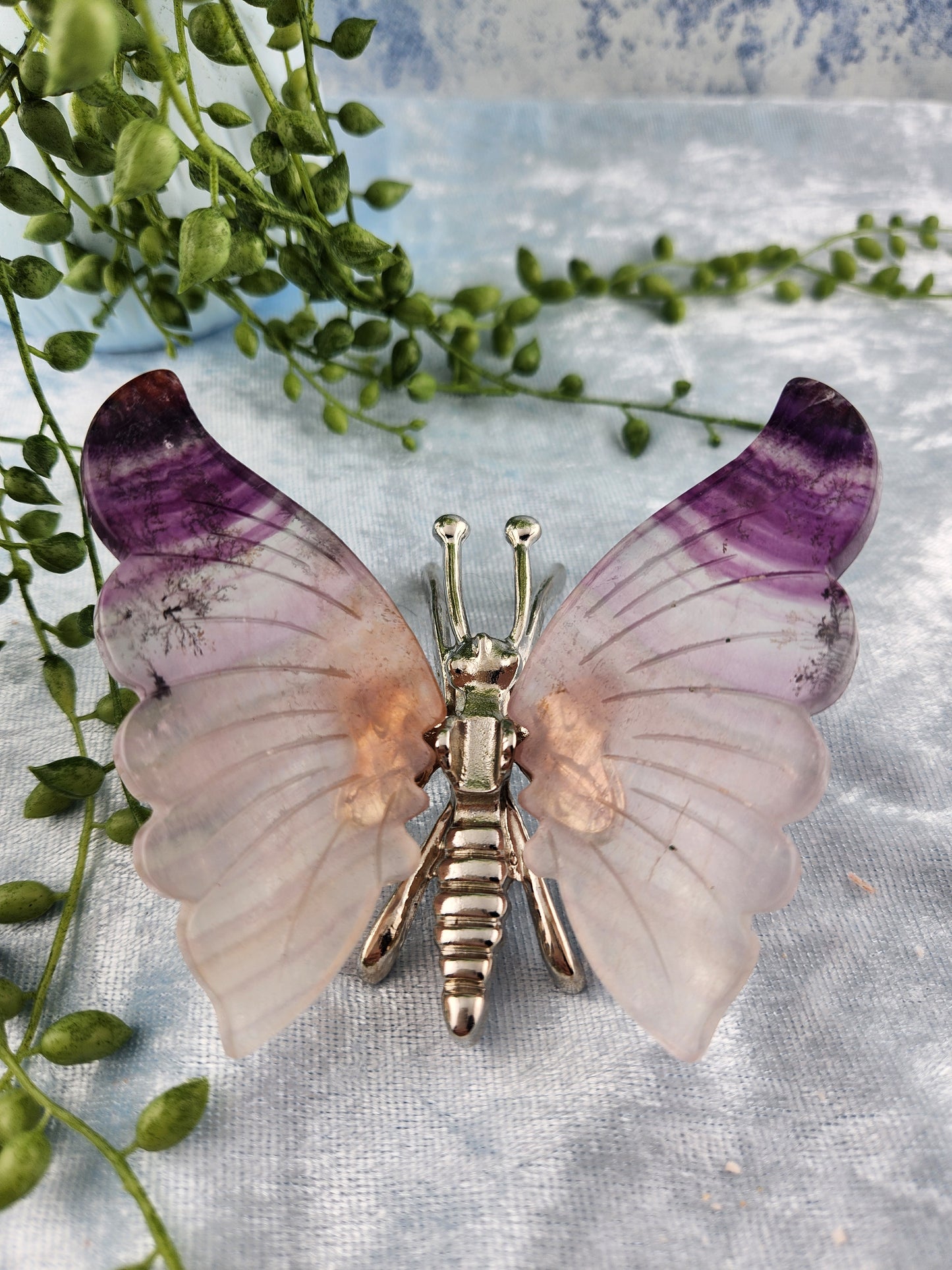 Purple Fluorite Butterfly with Dendrites