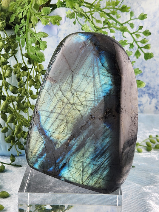 Labradorite Freeform