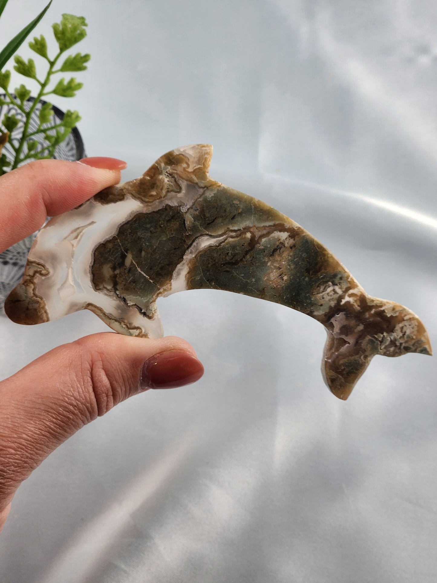 Moss Agate Dolphin