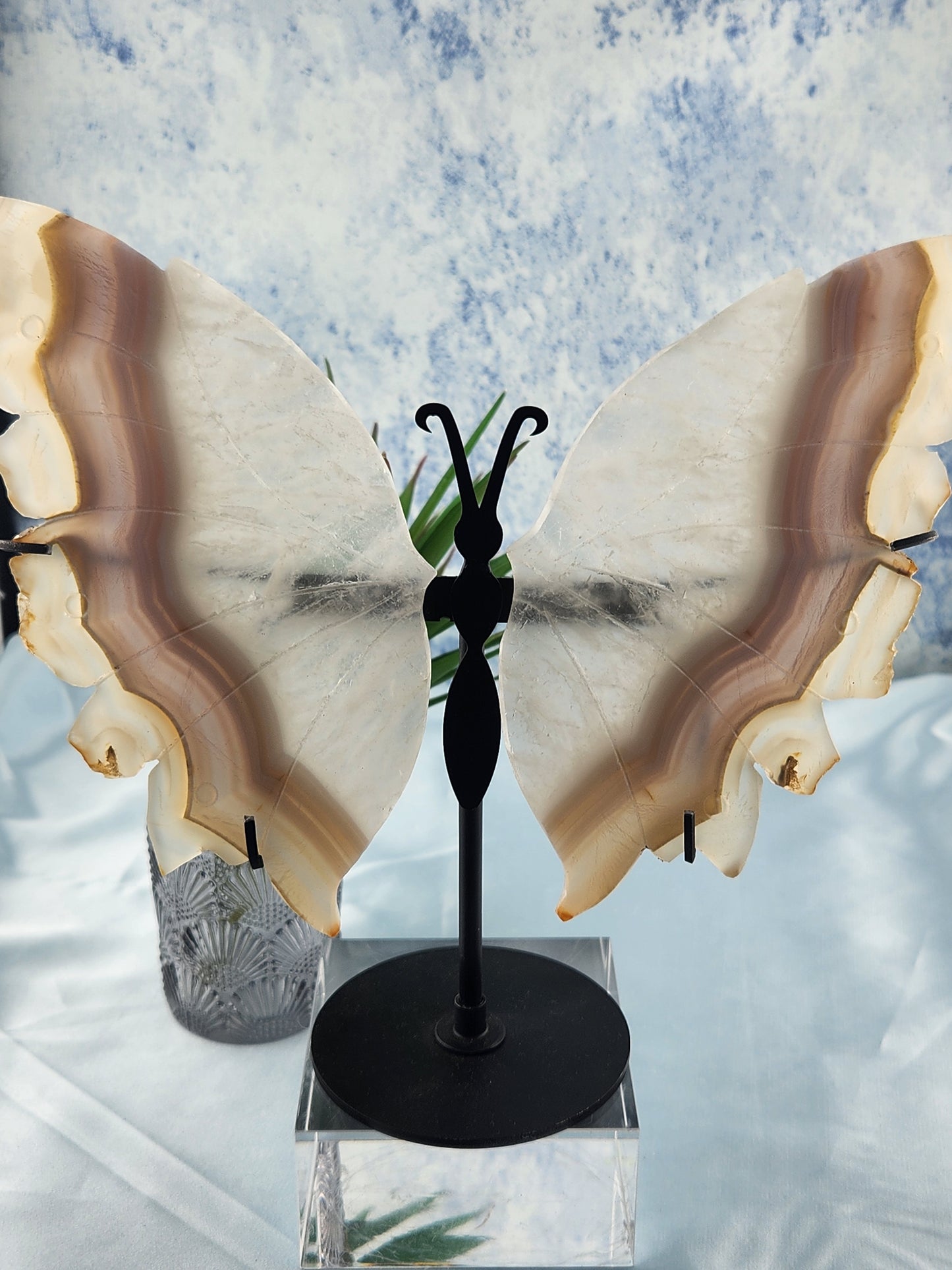 Banded Agate Butterfly Wings On Custom Stand