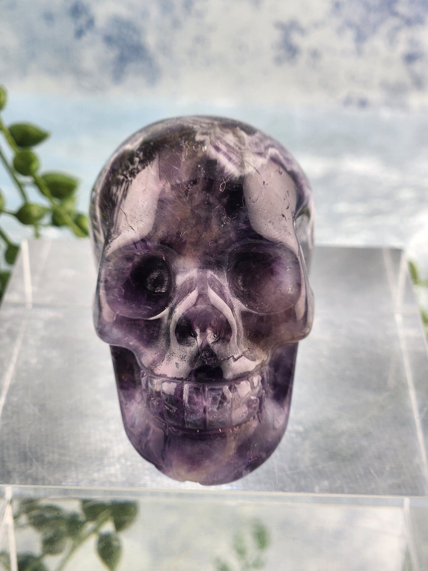 Chevron Amethyst Skull