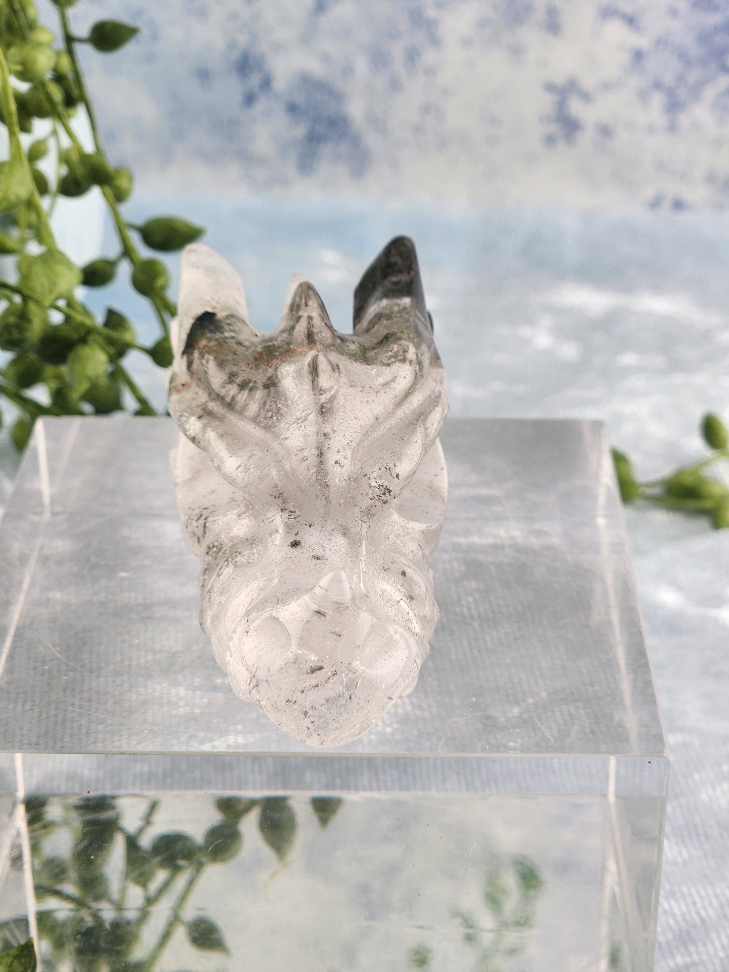 Garden Quartz Dragon Head