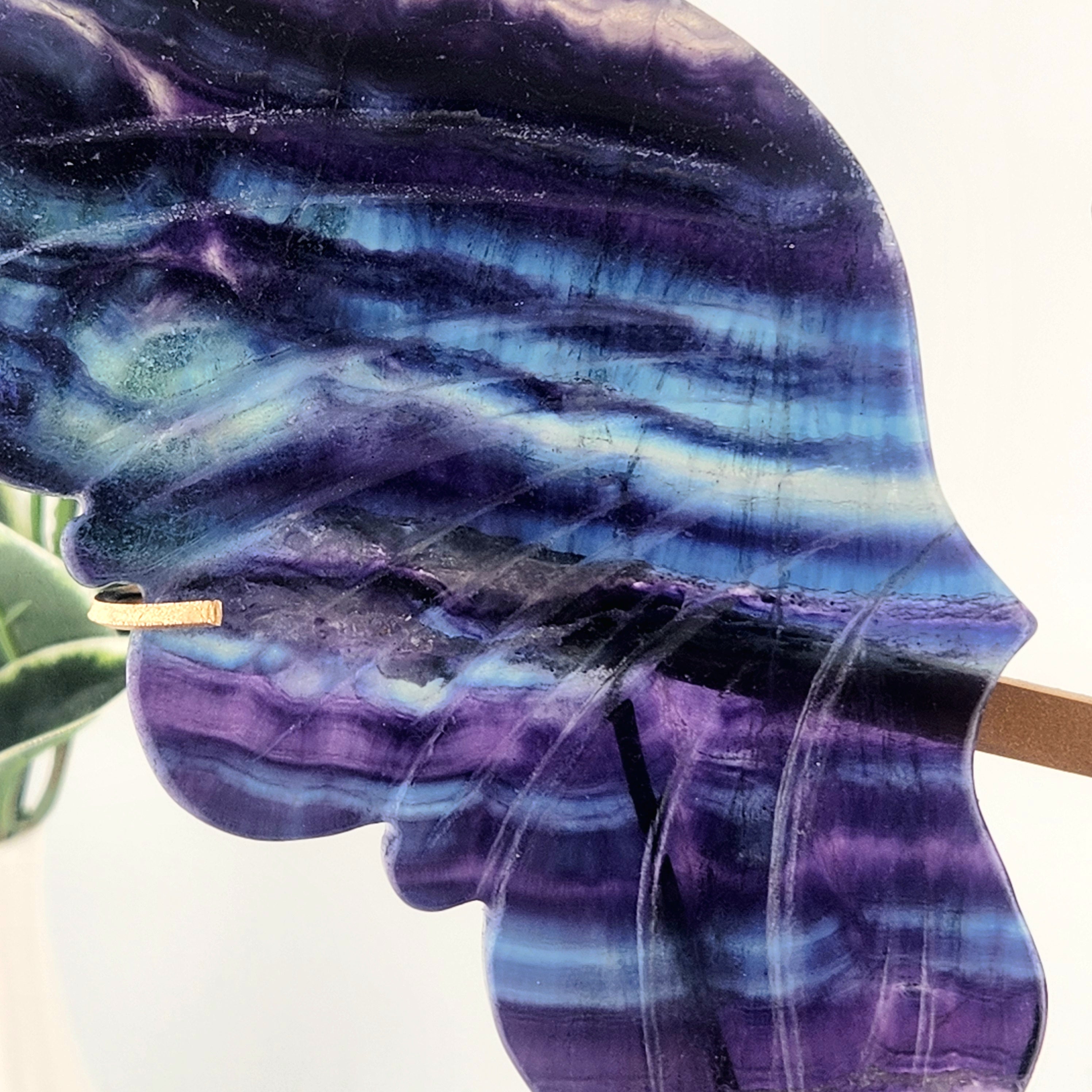 Fluorite Butterfly Wings On Custom Gold Stand