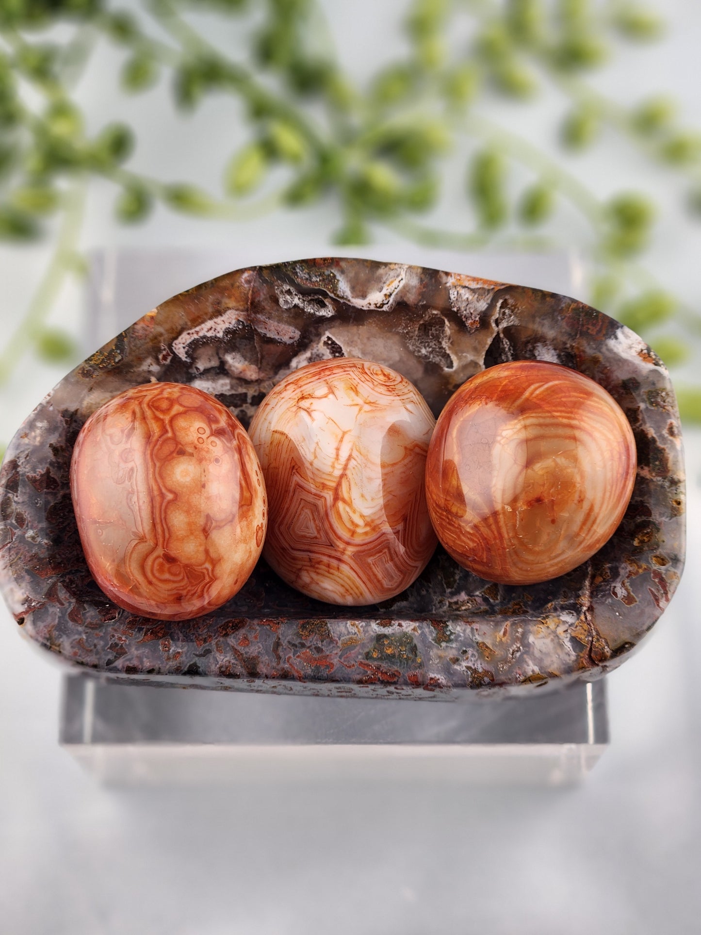 Ocean Jasper Bowl