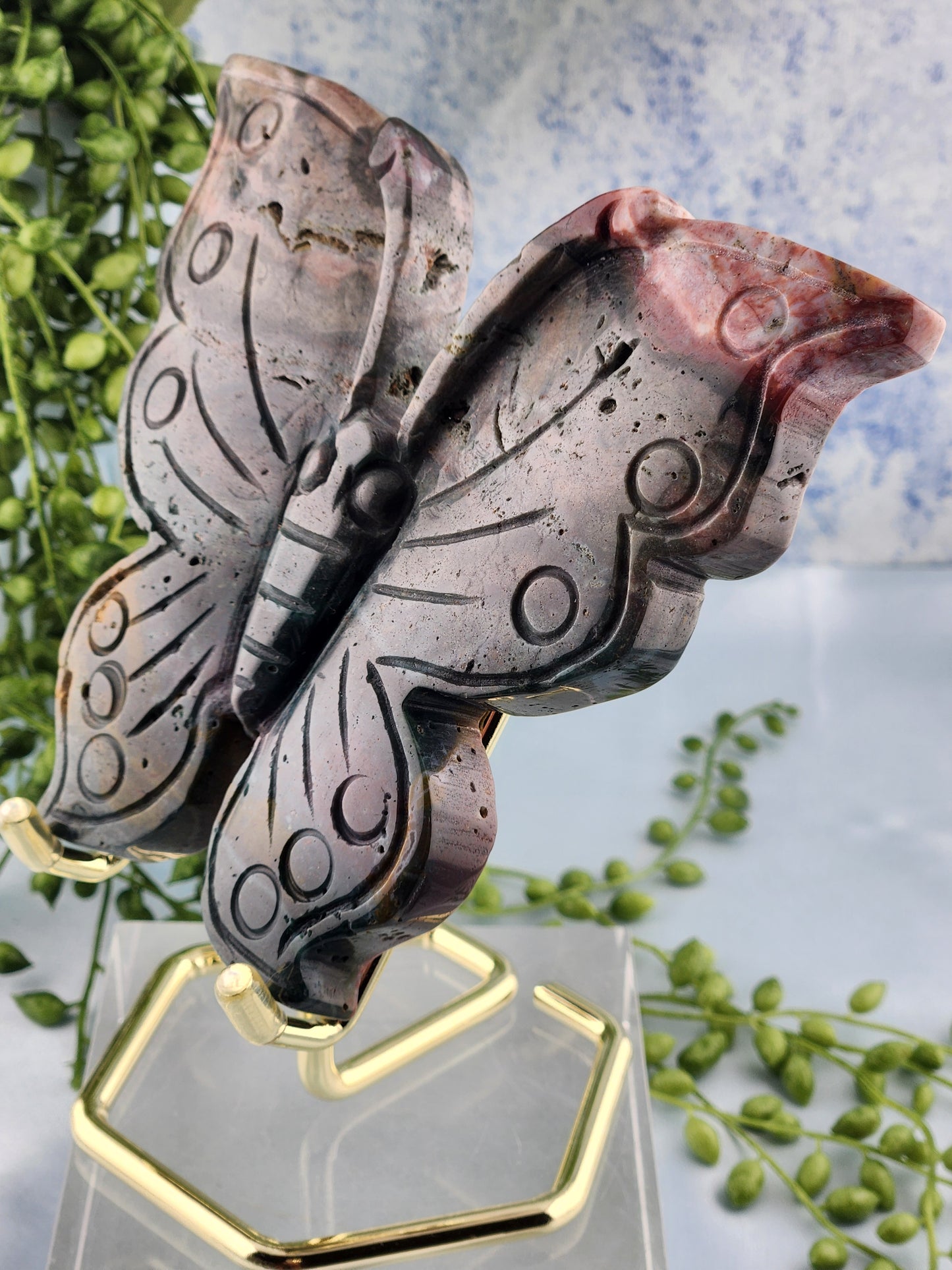 Ocean Jasper Butterfly