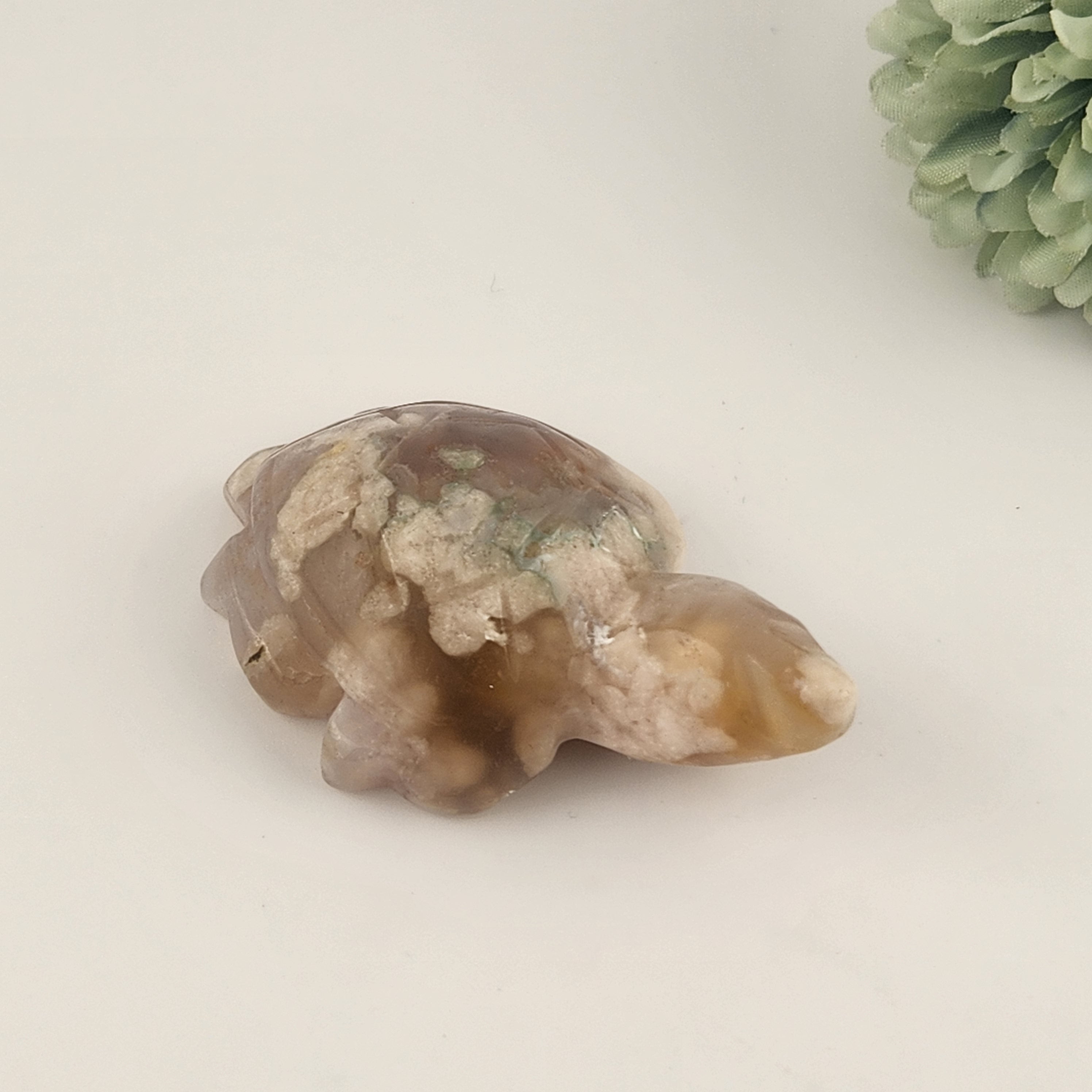 Flower Agate Turtle
