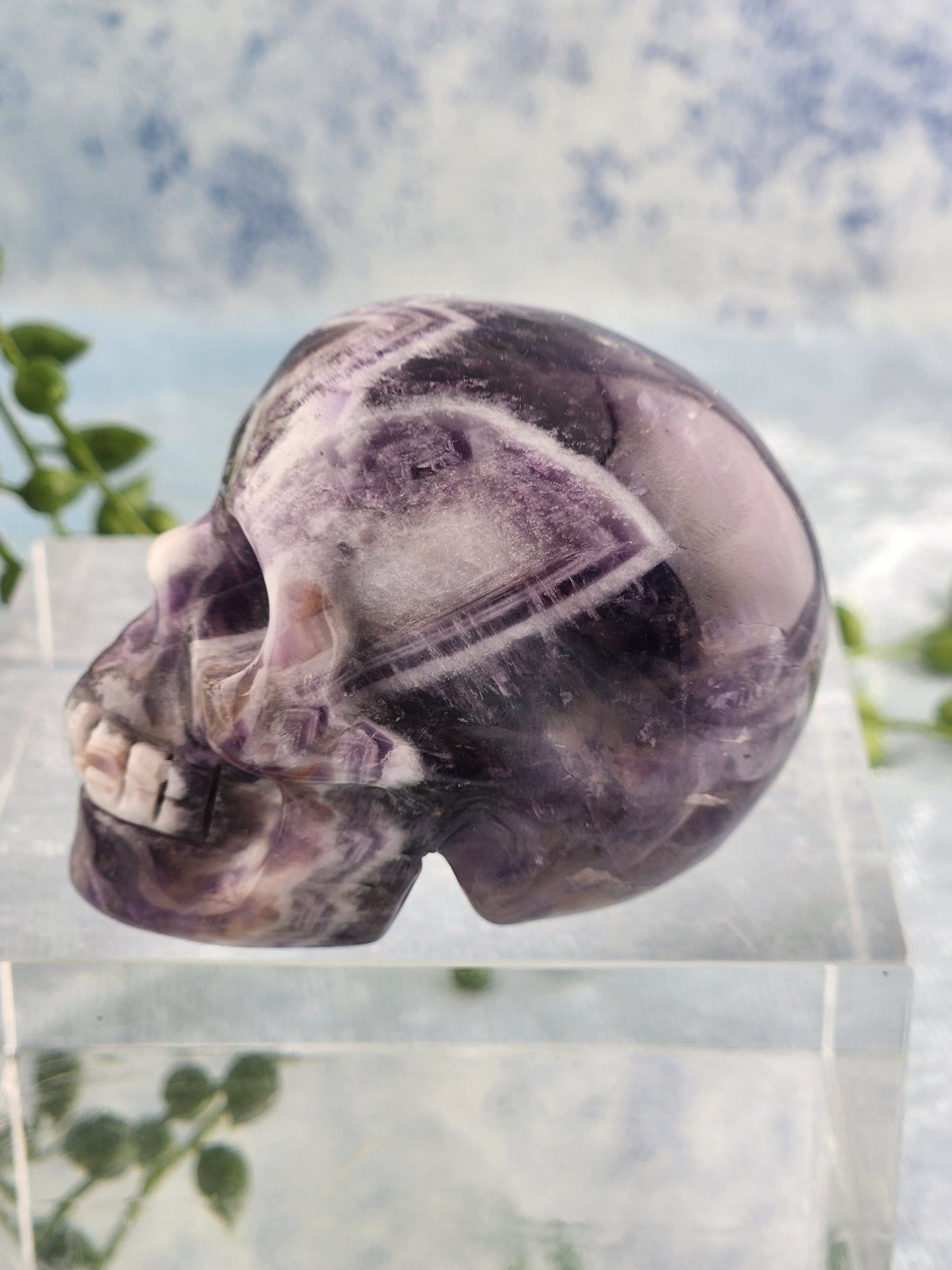 Chevron Amethyst Skull