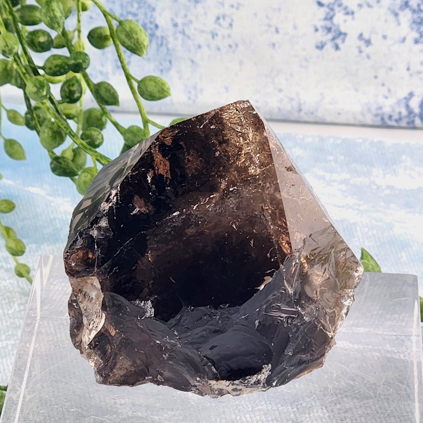 Elestial Smokey Quartz