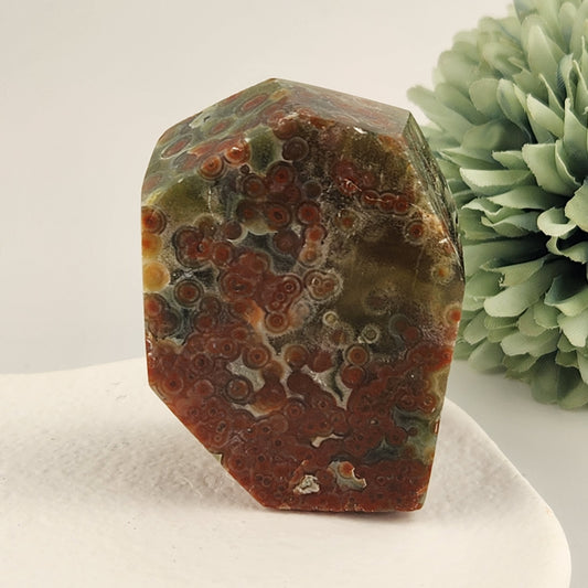 Orbicular Jasper Freeform