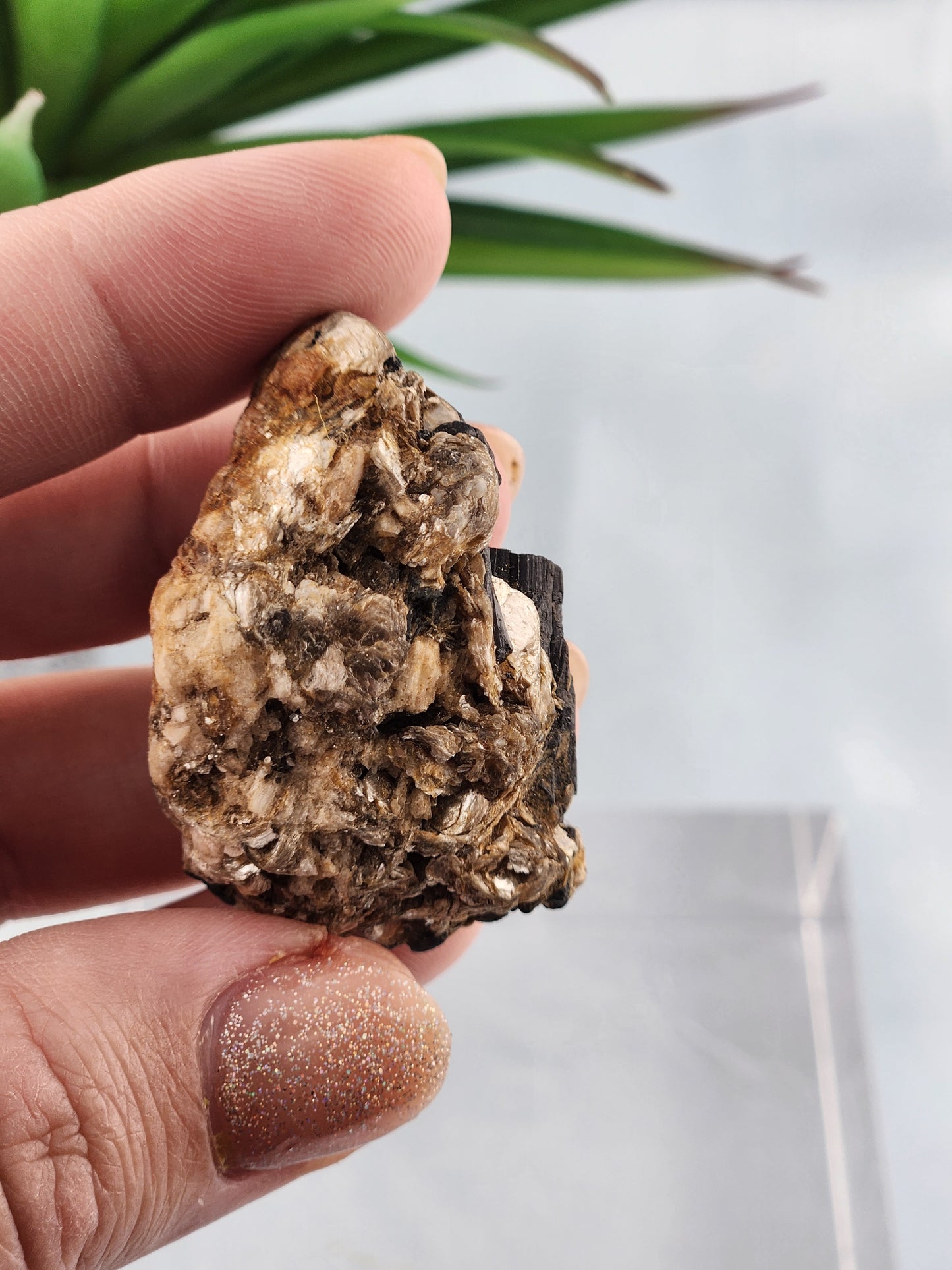 Black Tourmaline Specimen