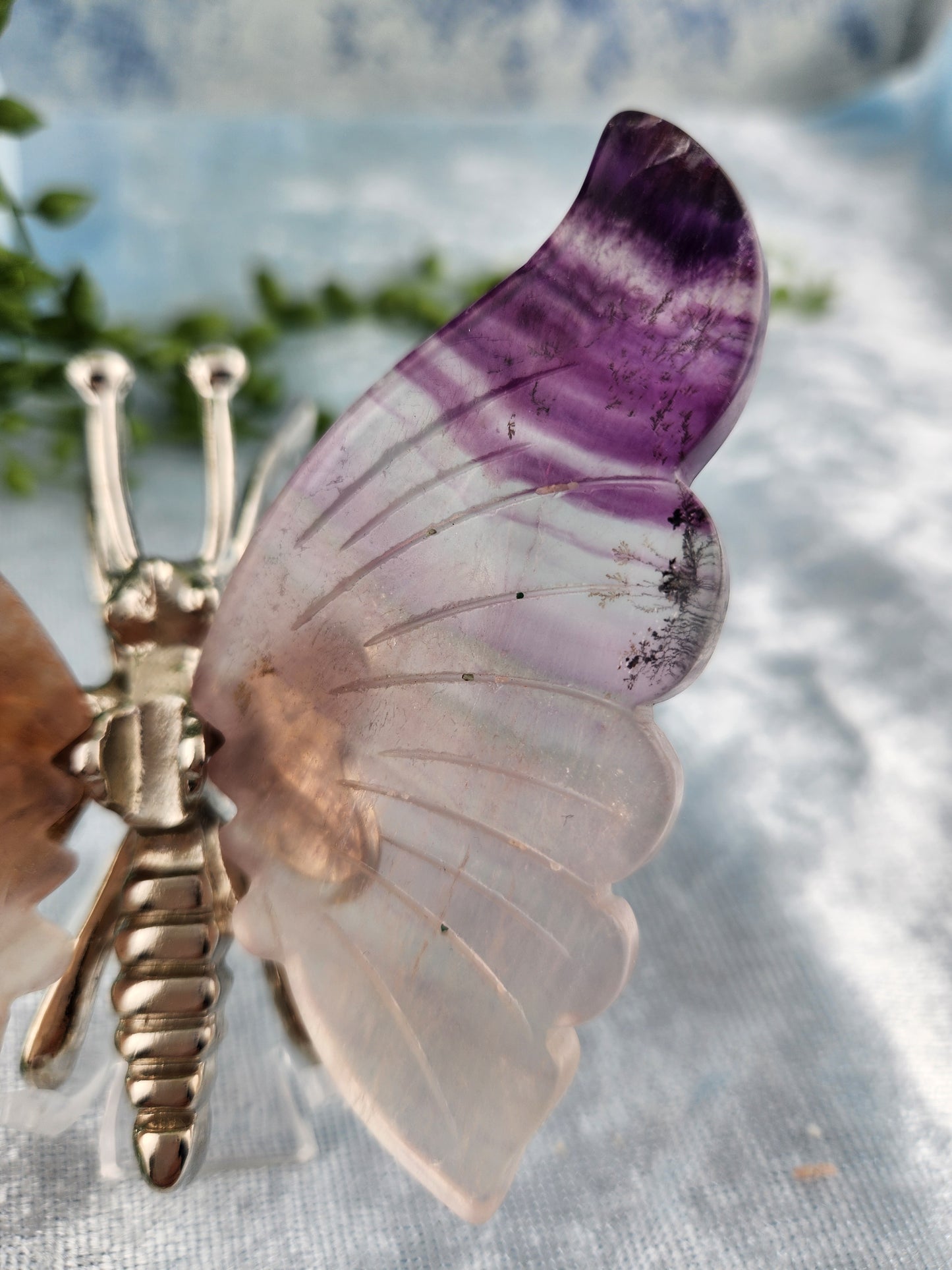 Purple Fluorite Butterfly with Dendrites