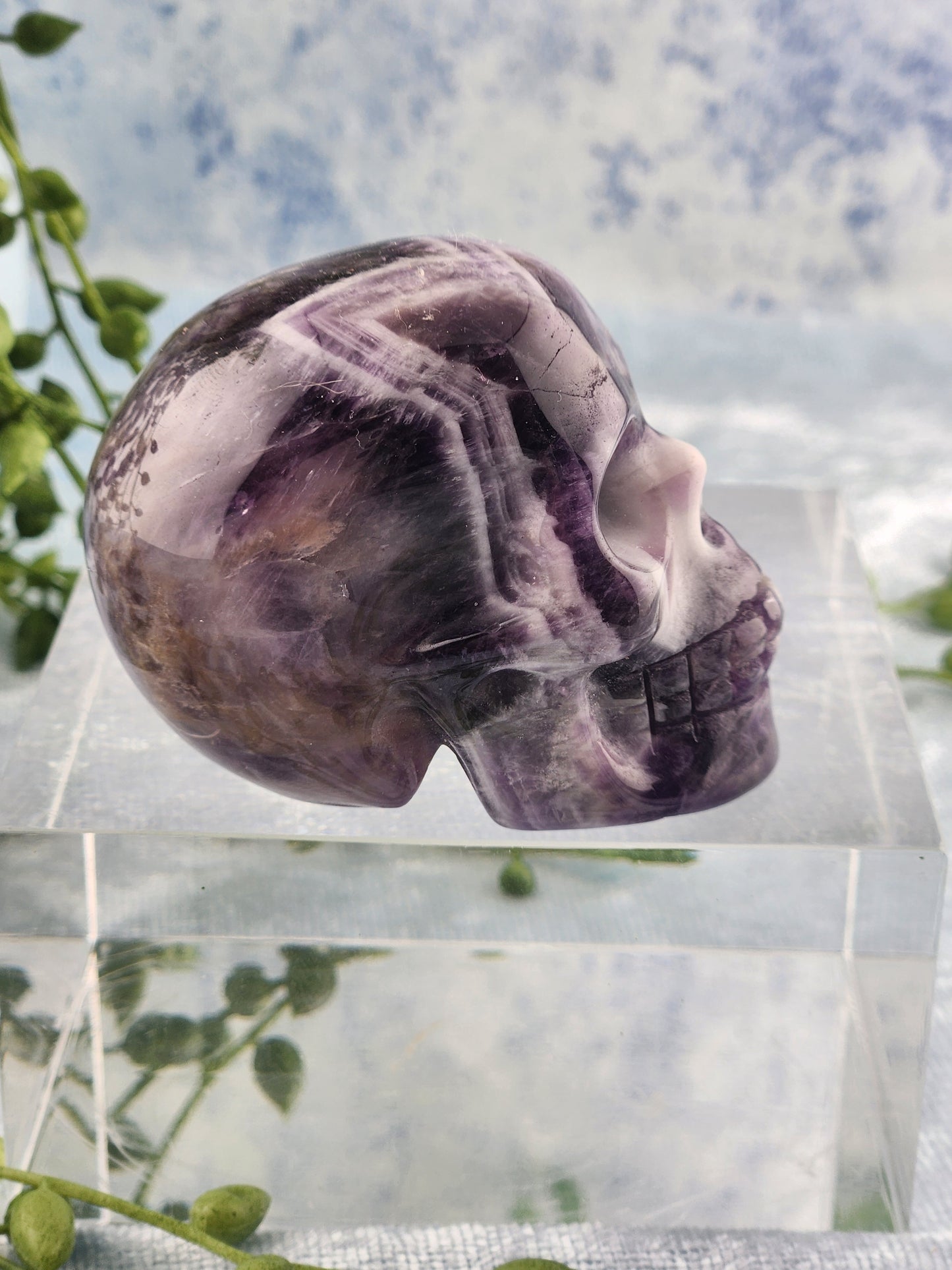 Chevron Amethyst Skull