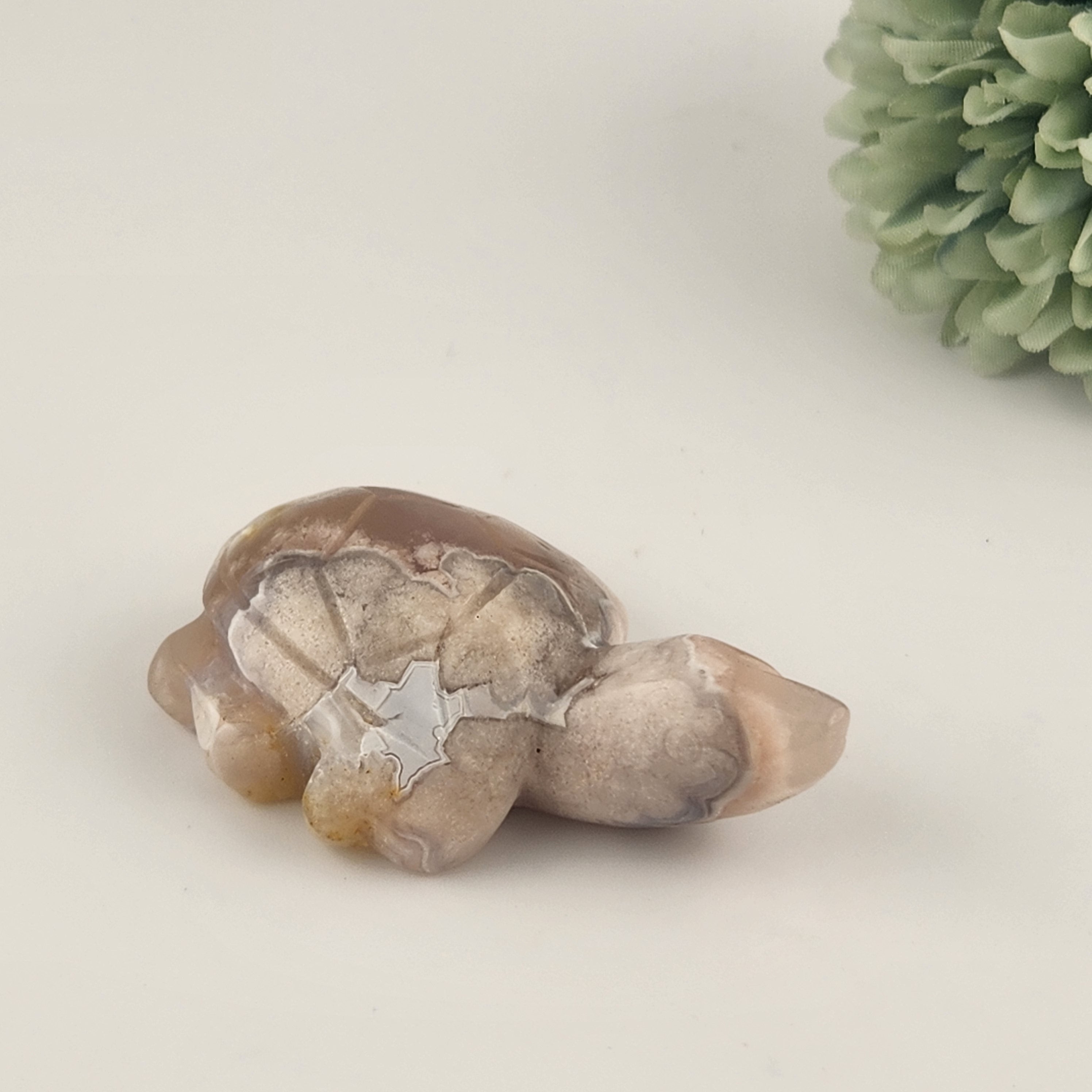 Flower Agate Turtle