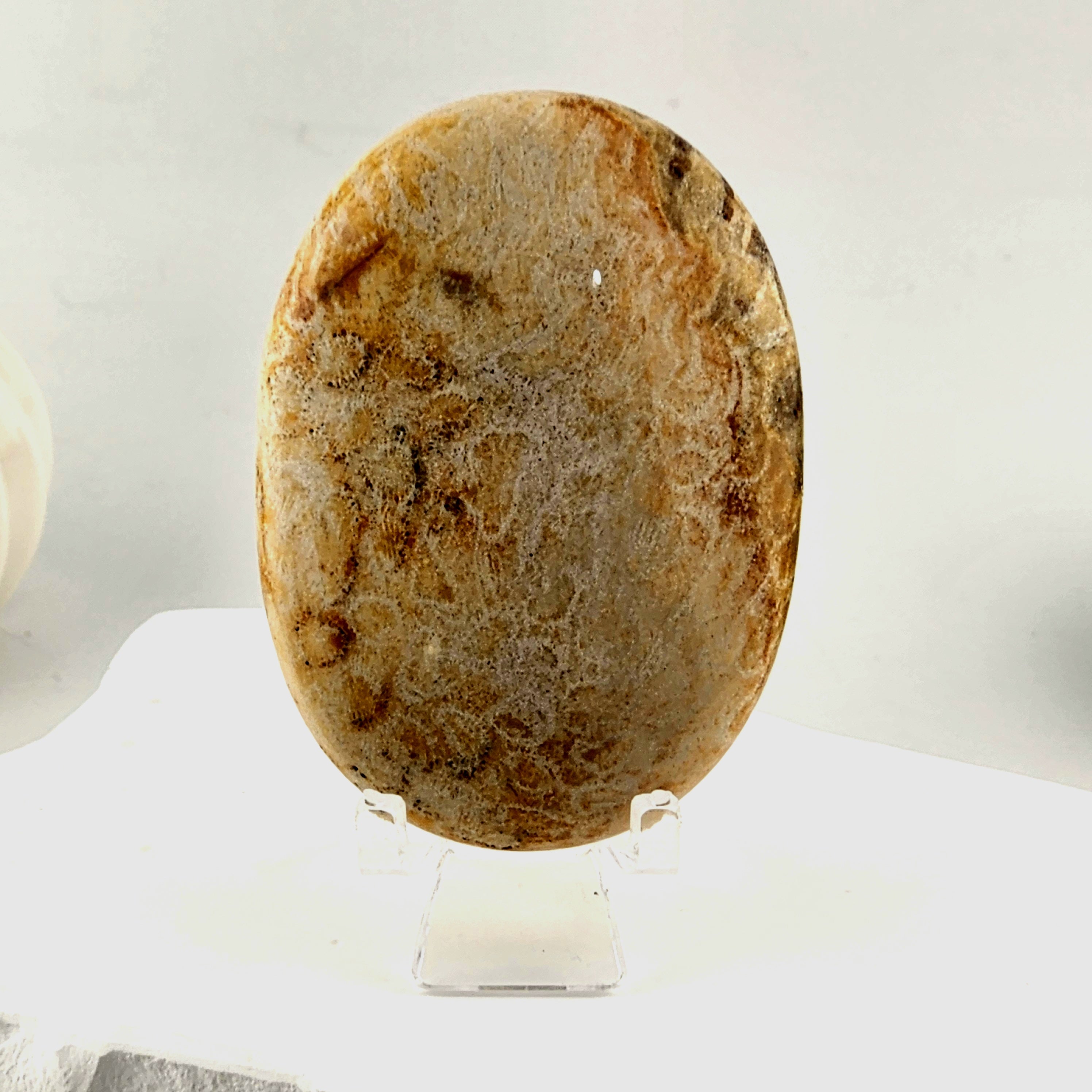Coral Palmstone