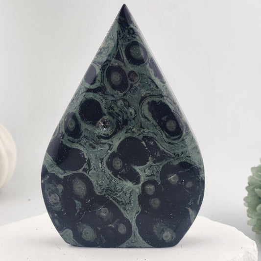 Kambaba Jasper Freeform
