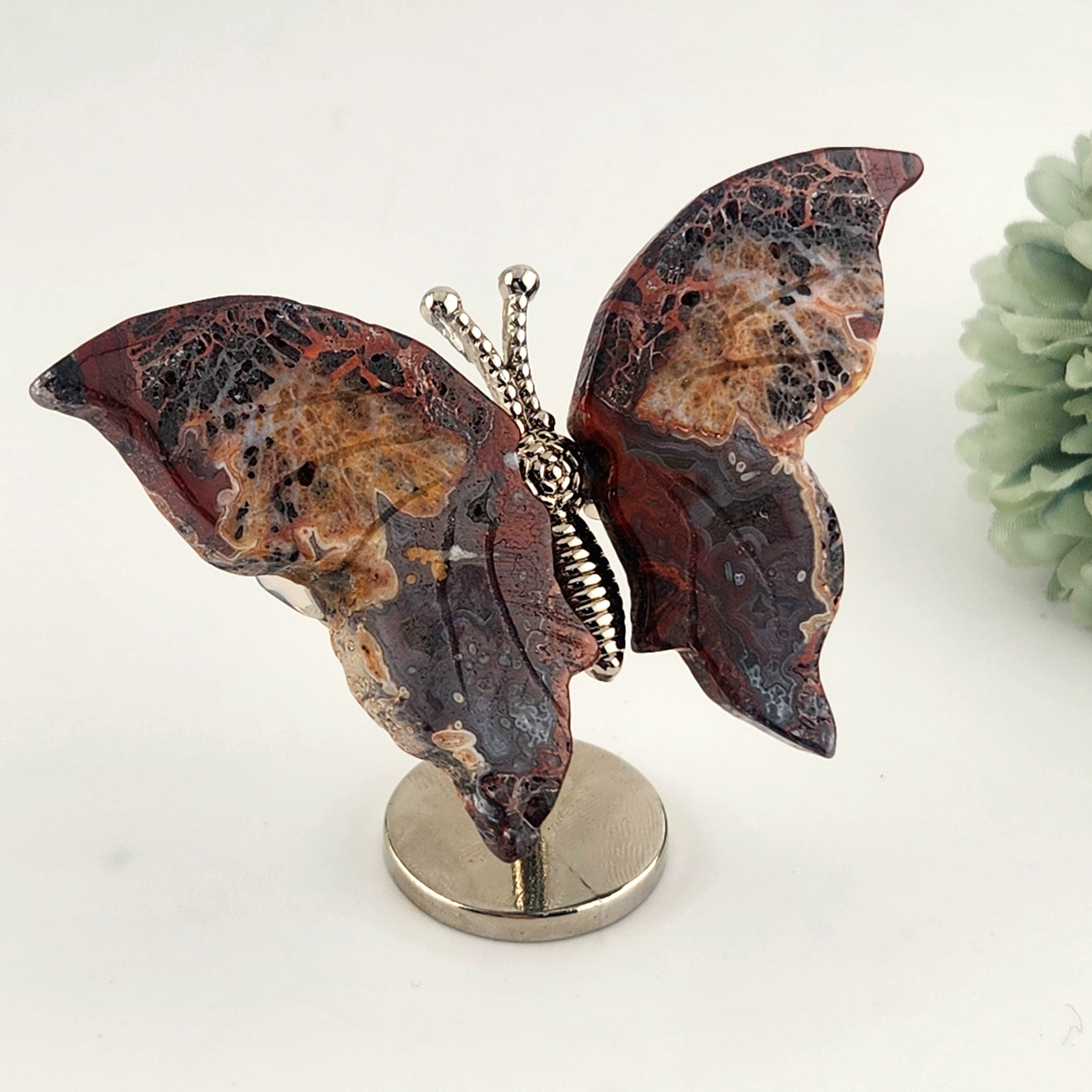 Mexican Crazy Lace Agate Butterfly On Stand