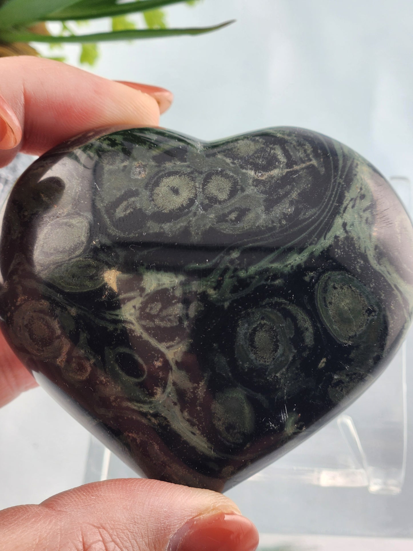 Kambaba Jasper Puffy Heart