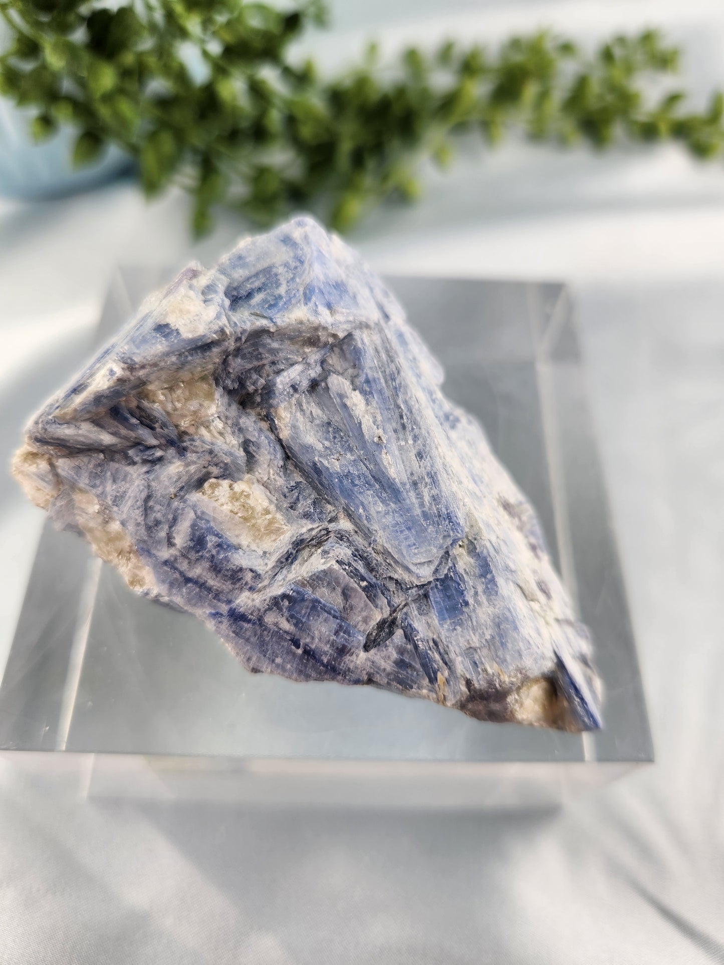 Kyanite Specimen