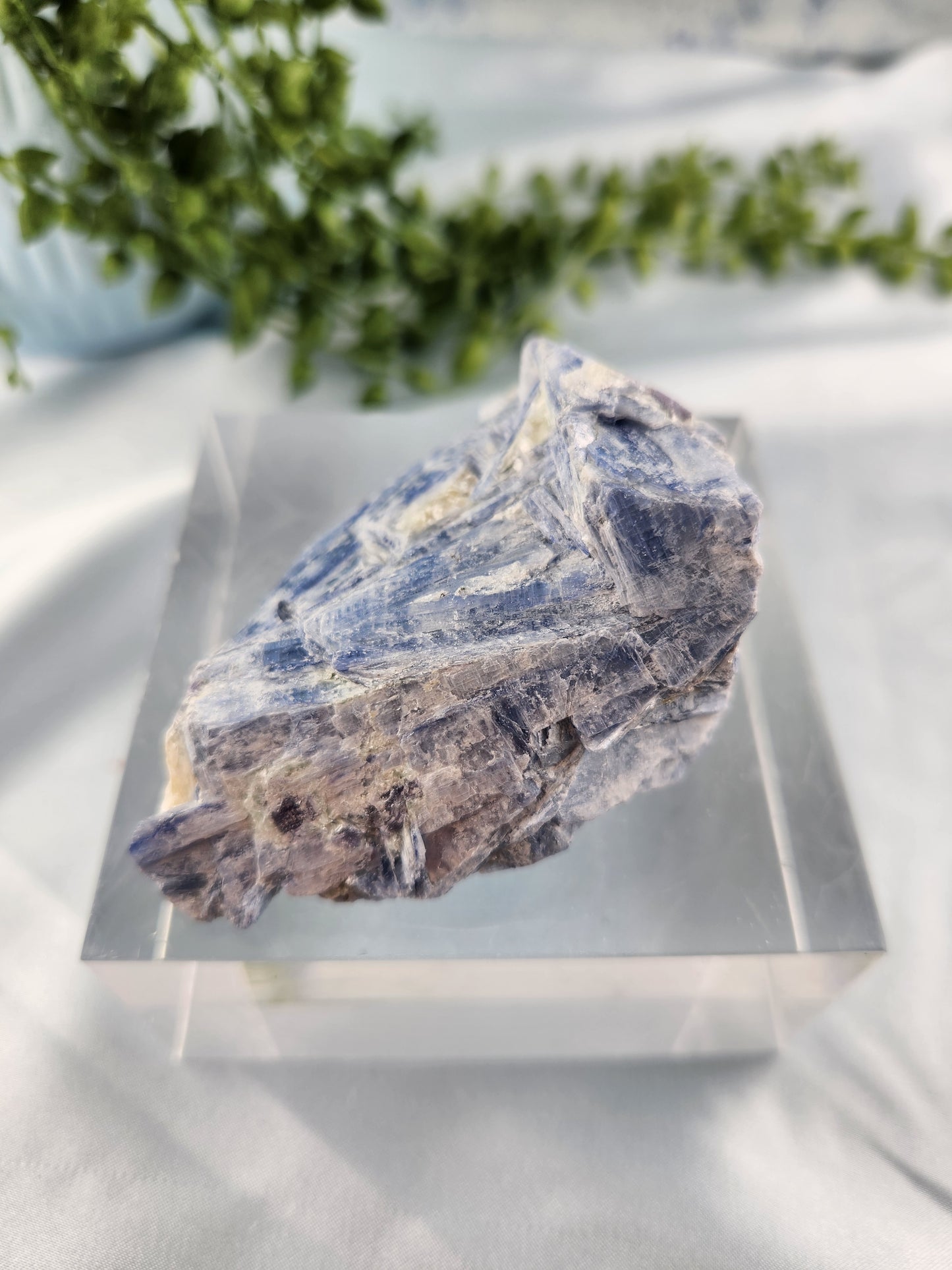 Kyanite Specimen