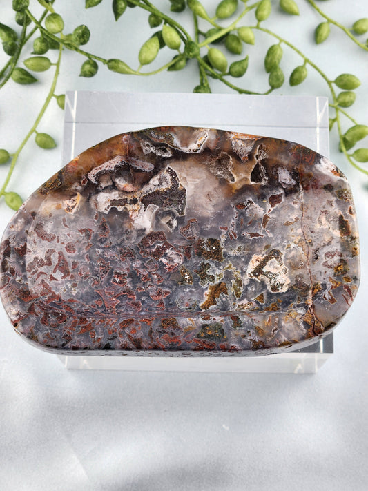 Ocean Jasper Bowl