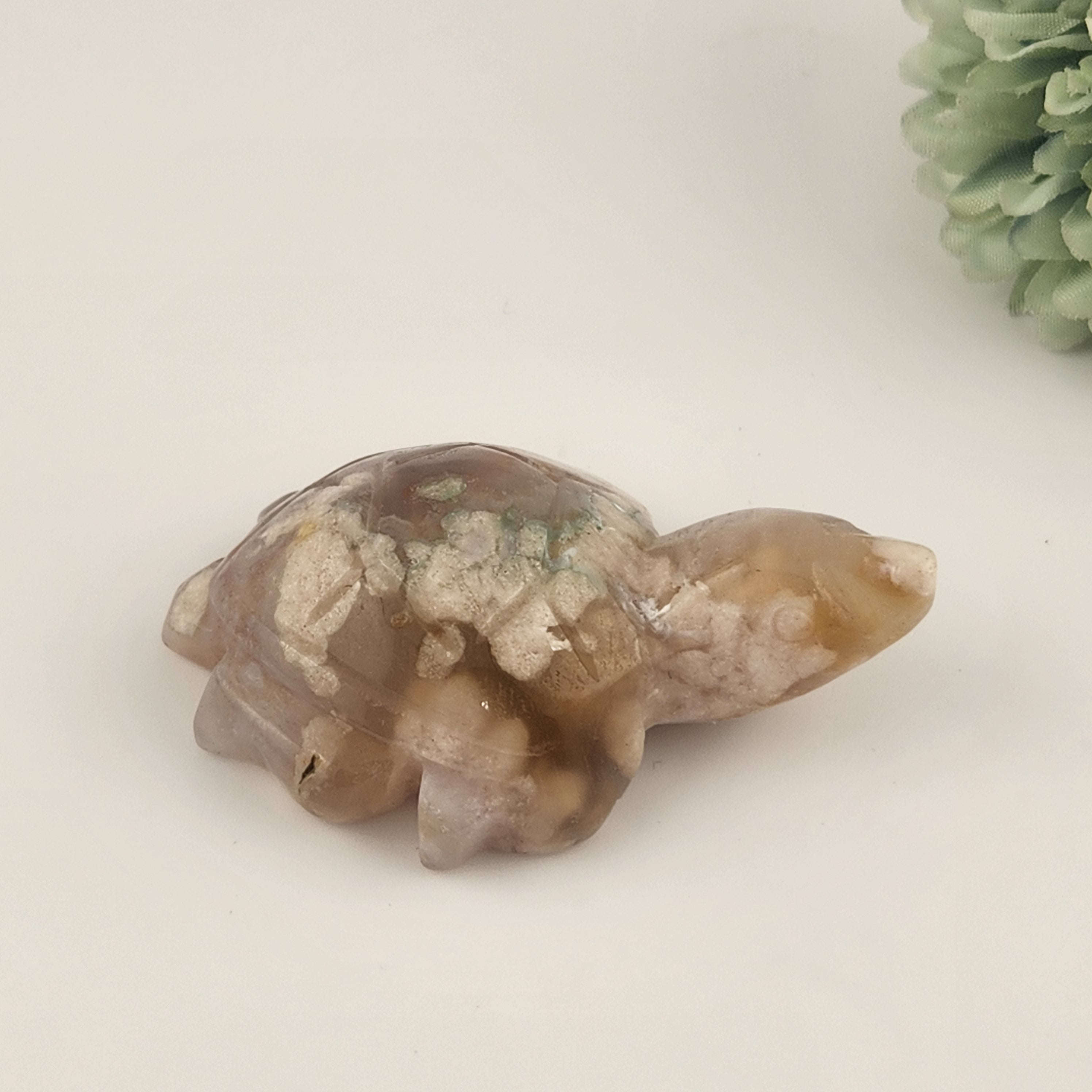 Flower Agate Turtle