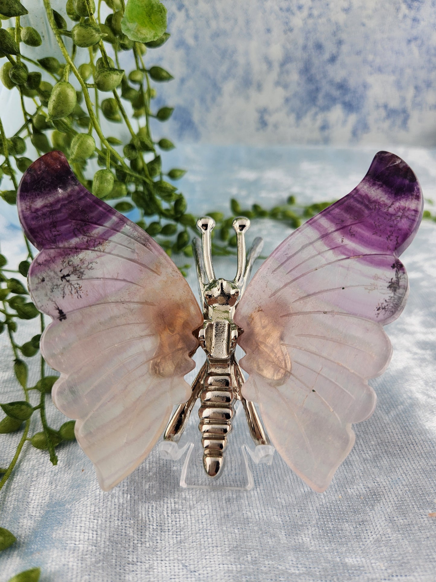 Purple Fluorite Butterfly with Dendrites