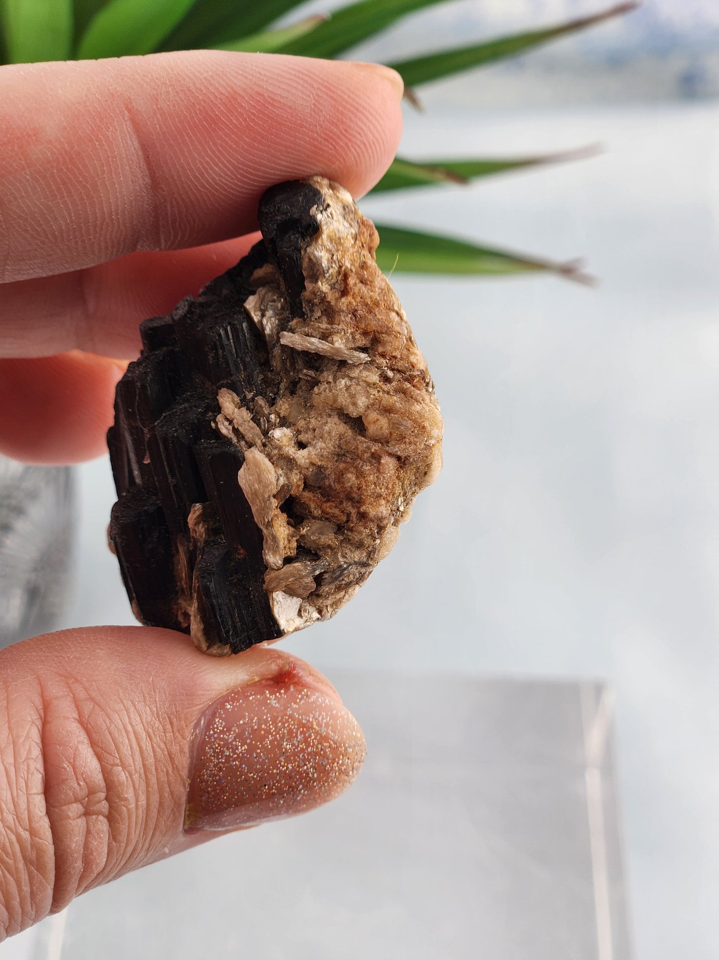 Black Tourmaline Specimen