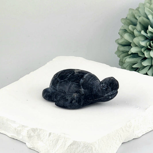 Sodalite Turtle