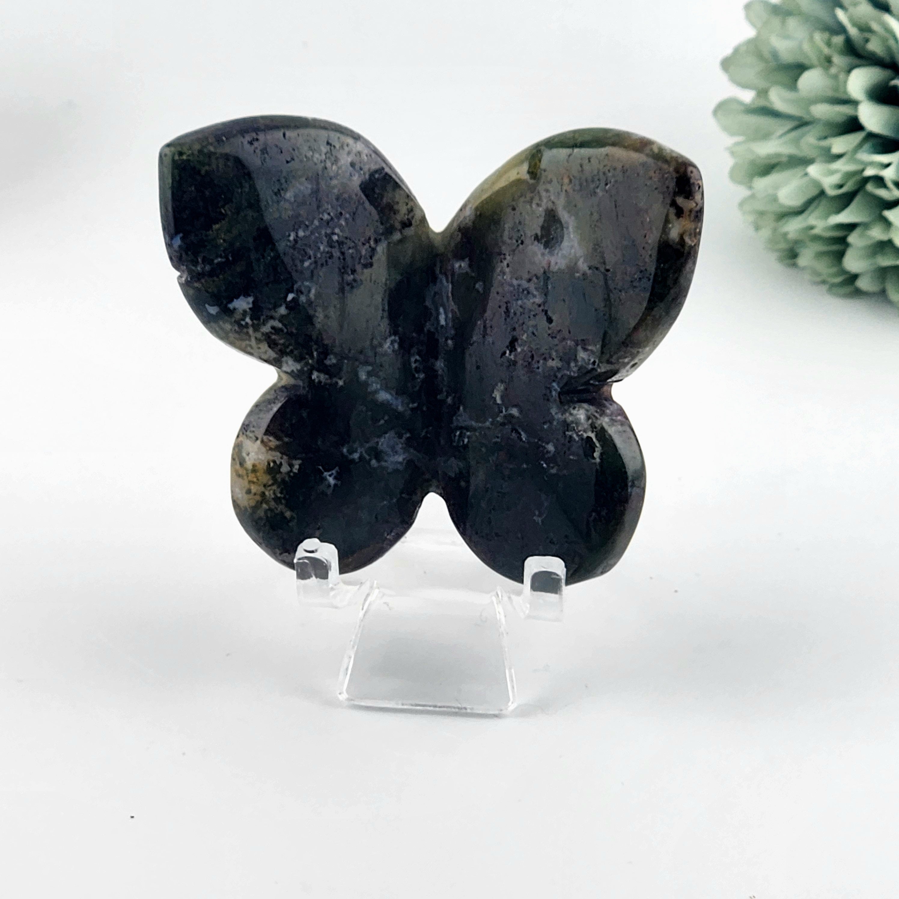 Ocean Jasper Butterfly