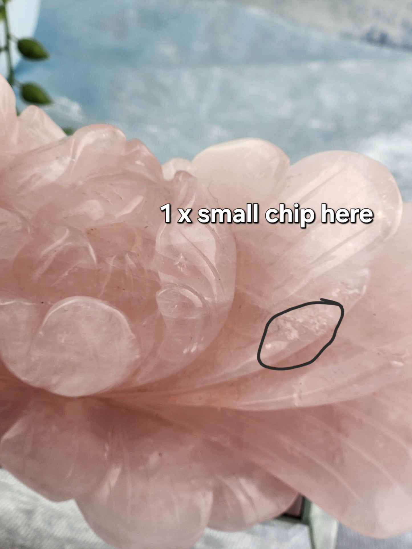 Rose Quartz Flower - XL *Misfit 1 x small chip*