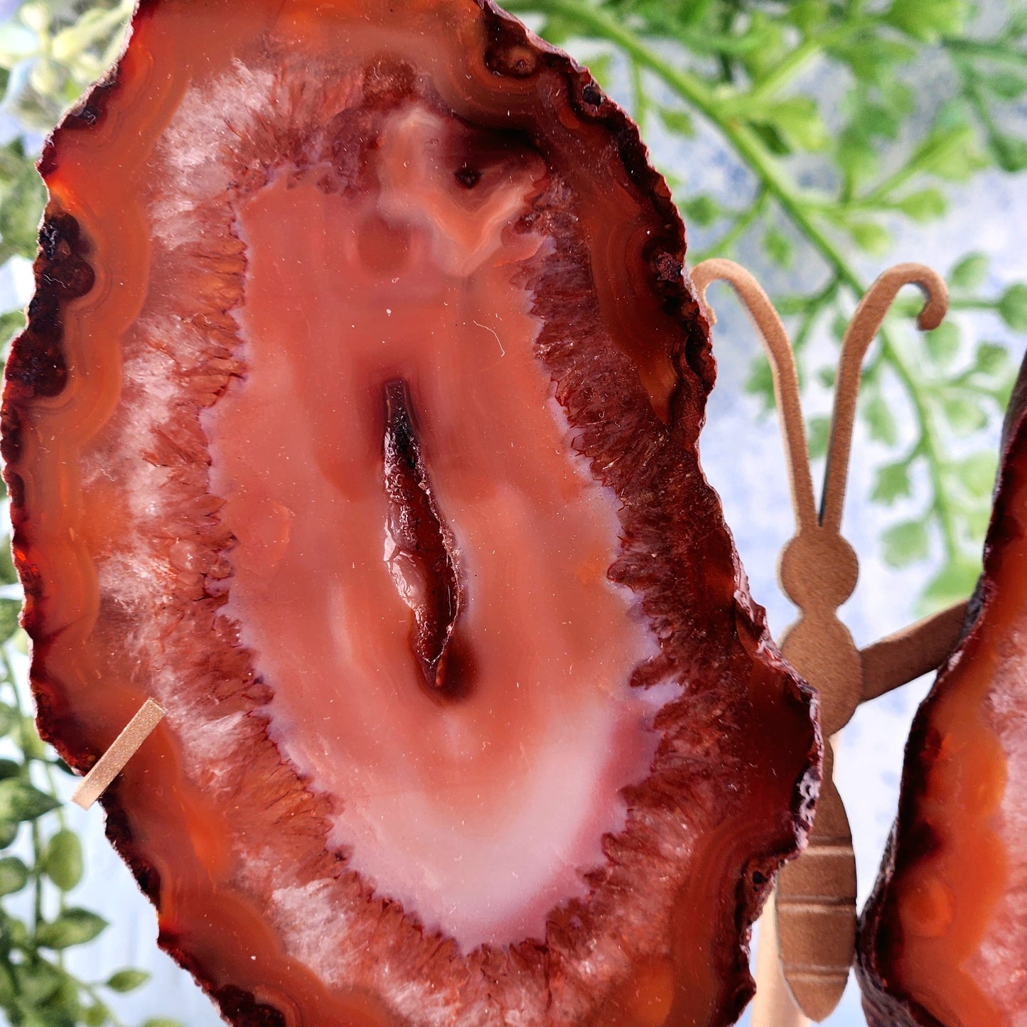 Carnelian Slab Butterfly Wings on Custom Gold Stand