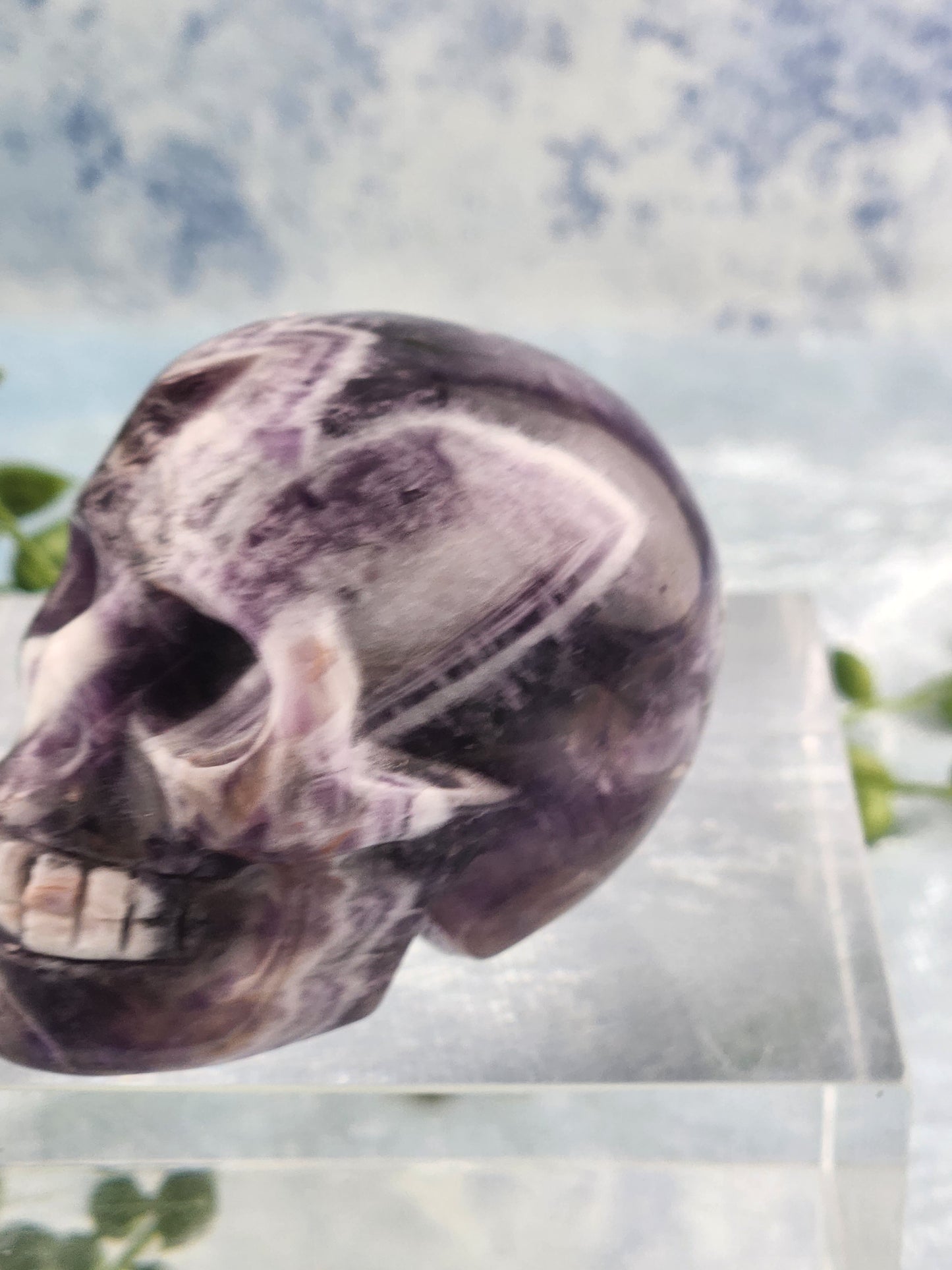 Chevron Amethyst Skull